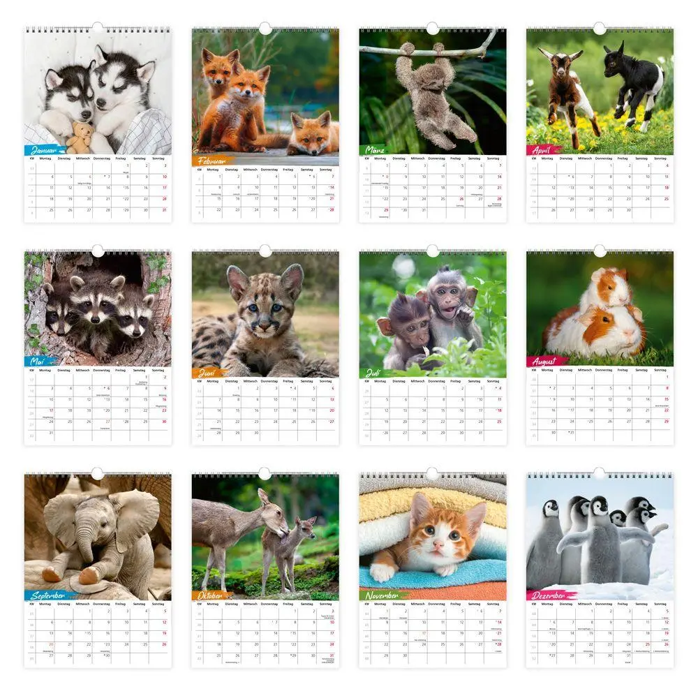 Bild: 9783988026811 | TRÖTSCH - Notizkalender zum Hängen Tierkinder 2027 | KG | Kalender