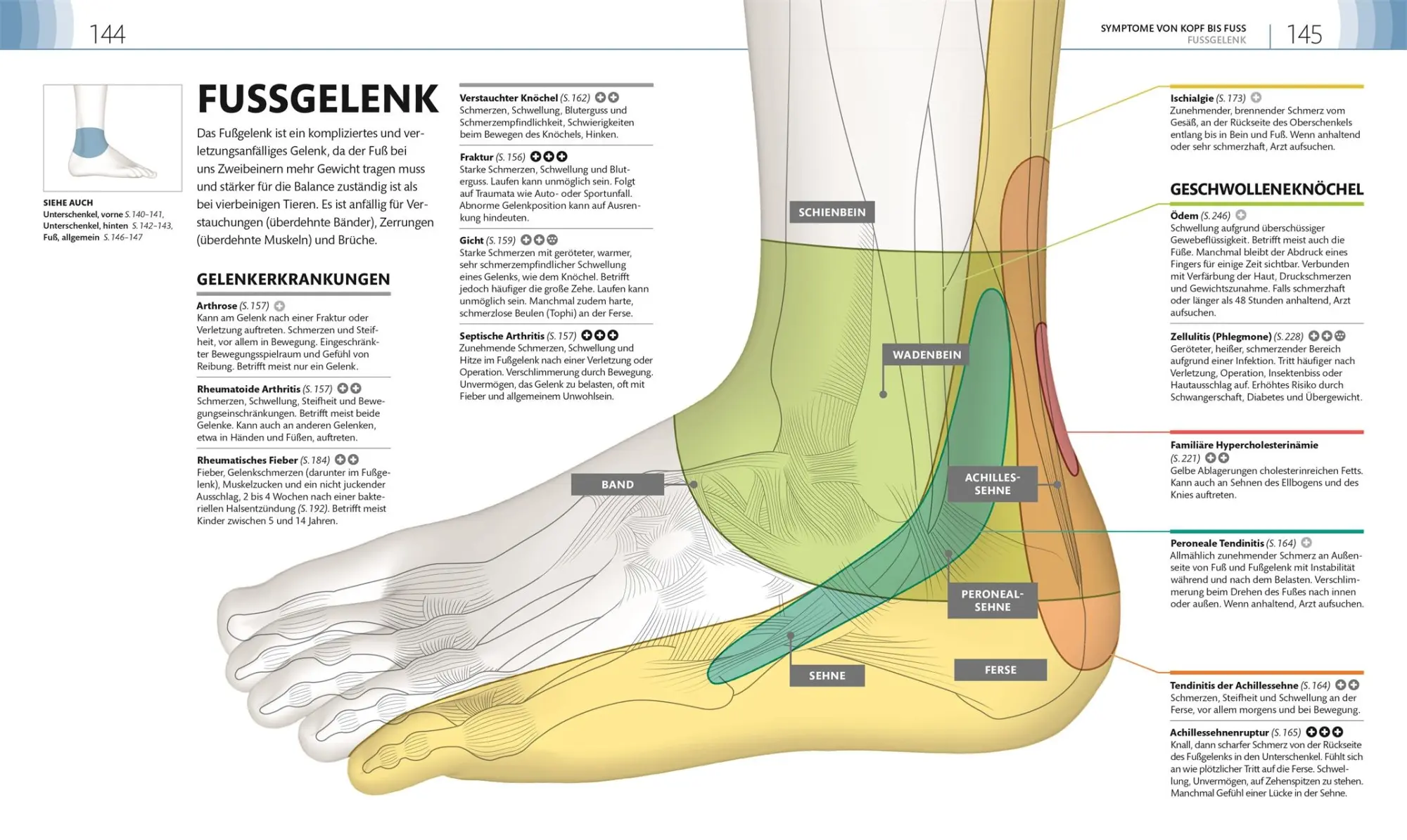 Bild: 9783831046911 | Mein Gesundheits-Check | Dina Kaufman (u. a.) | Taschenbuch | 256 S.