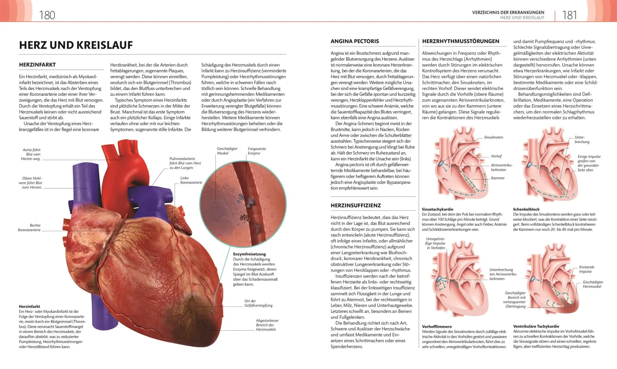 Bild: 9783831046911 | Mein Gesundheits-Check | Dina Kaufman (u. a.) | Taschenbuch | 256 S.