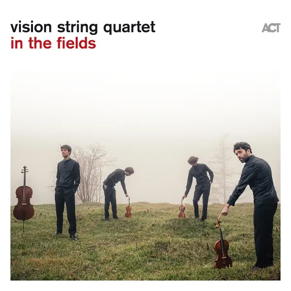 In The Fields,1 Schallplatte (180g Black Vinyl)