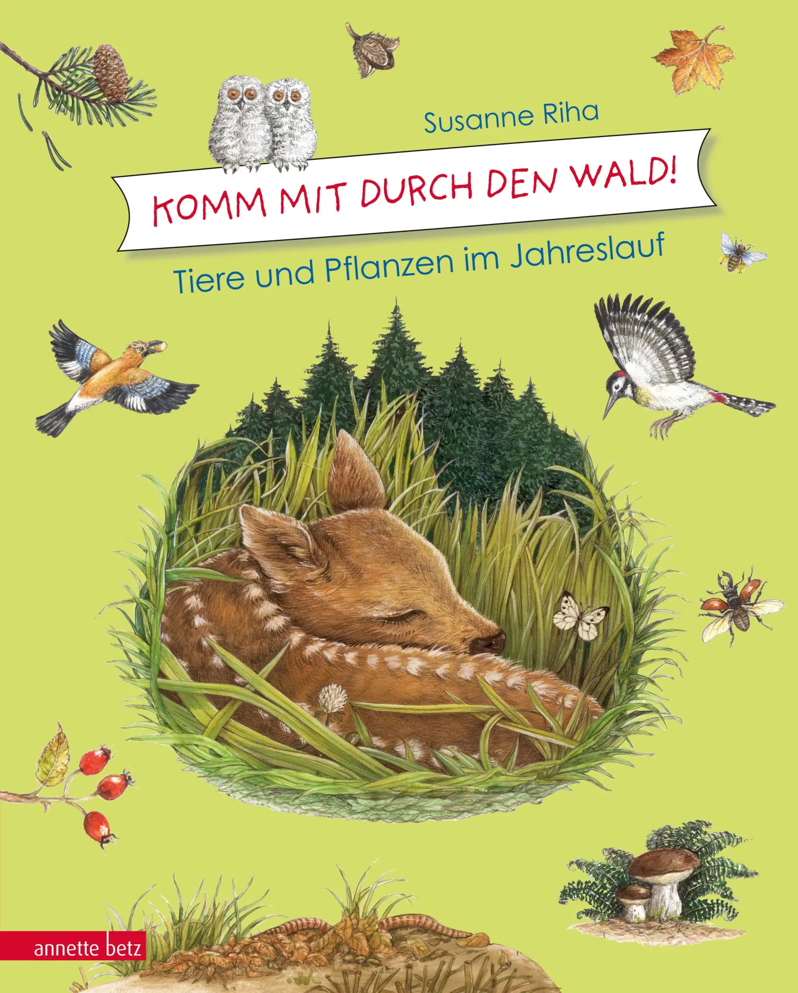 Cover: 9783219117011 | Kommt mit durch den Wald | Tiere und Pflanzen im Jahreslauf | Riha