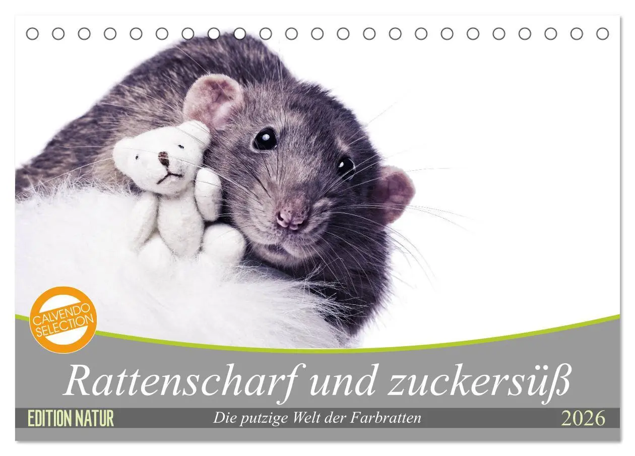 Cover: 9783457887011 | Rattenscharf und zuckersüß (Tischkalender 2026 DIN A5 quer),...