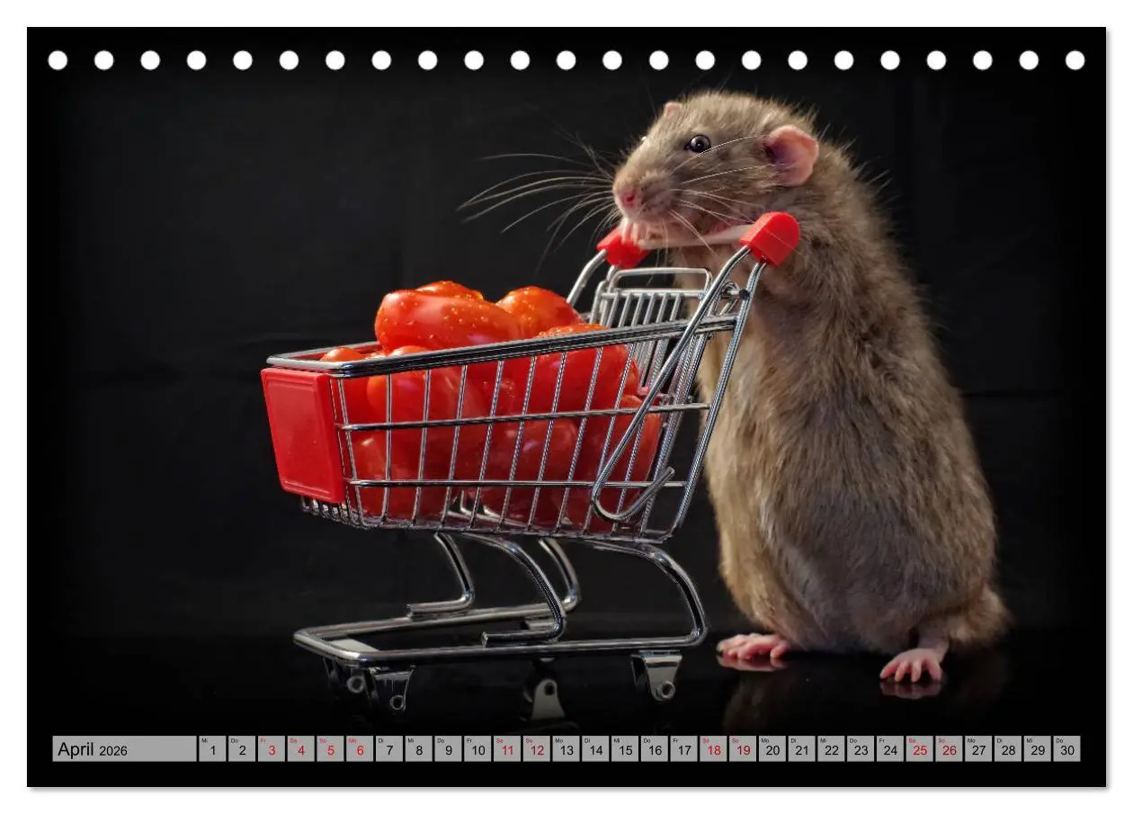 Bild: 9783457887011 | Rattenscharf und zuckersüß (Tischkalender 2026 DIN A5 quer),...