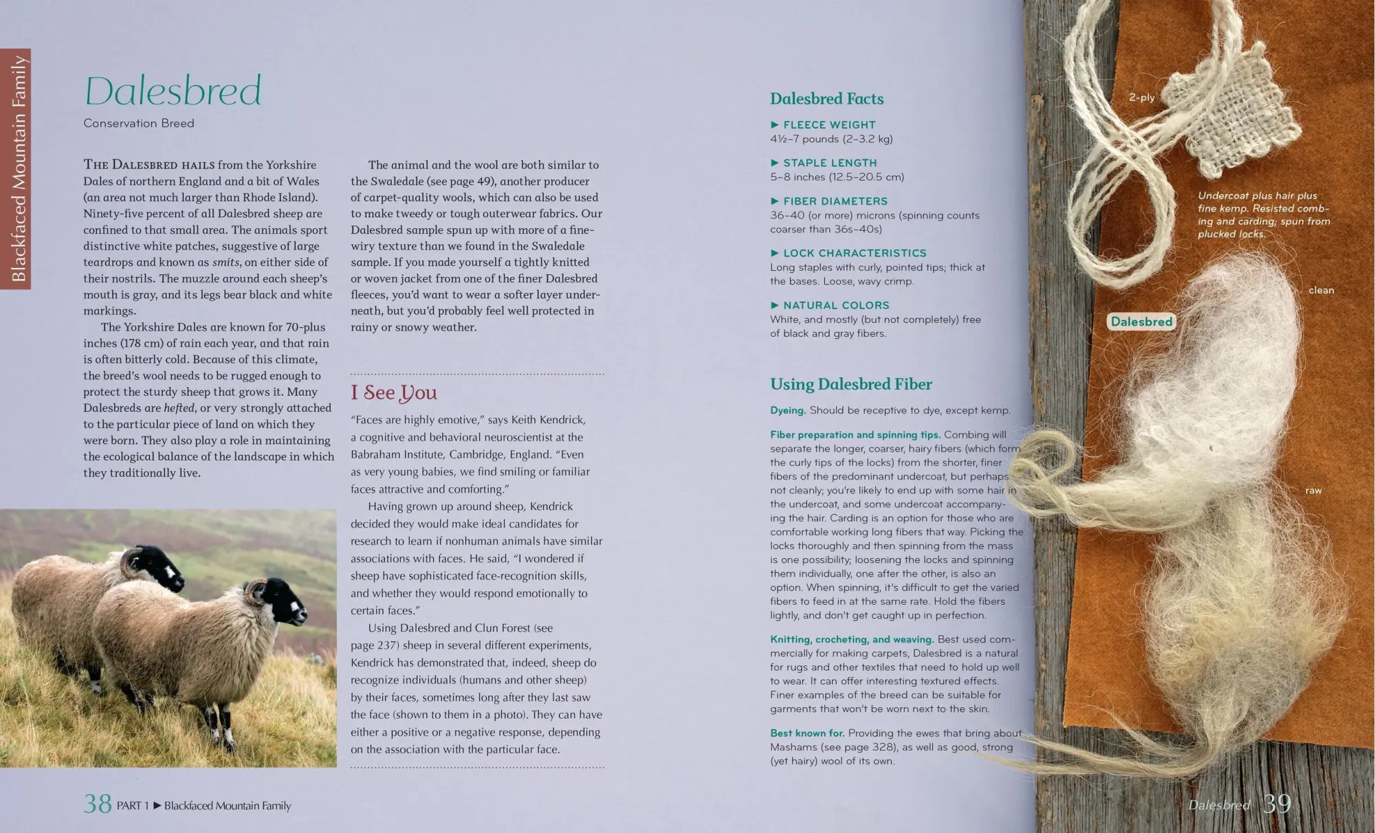 Bild: 9781603427111 | The Fleece &amp; Fiber Sourcebook | Carol Ekarius (u. a.) | Buch | 2011