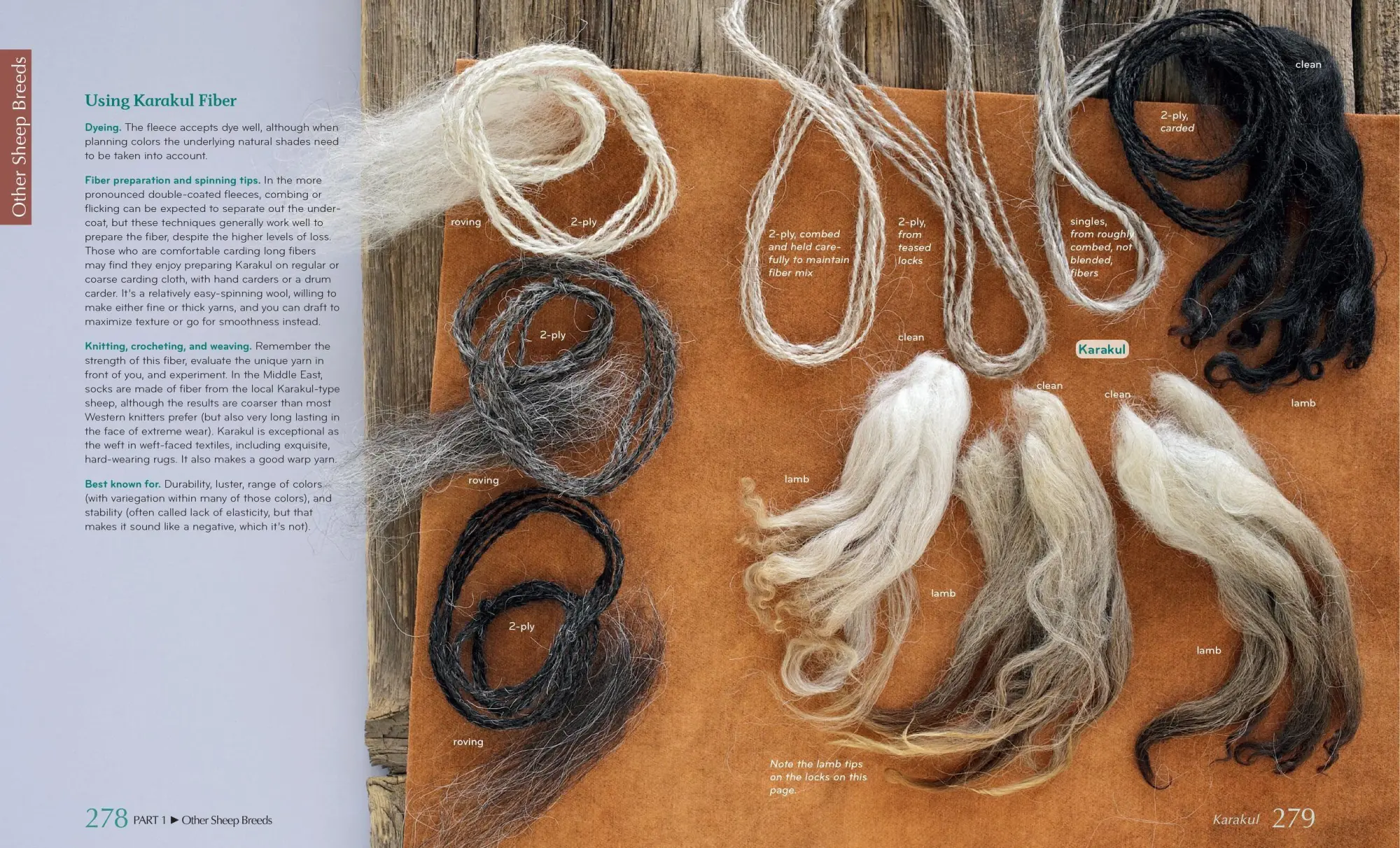 Bild: 9781603427111 | The Fleece &amp; Fiber Sourcebook | Carol Ekarius (u. a.) | Buch | 2011