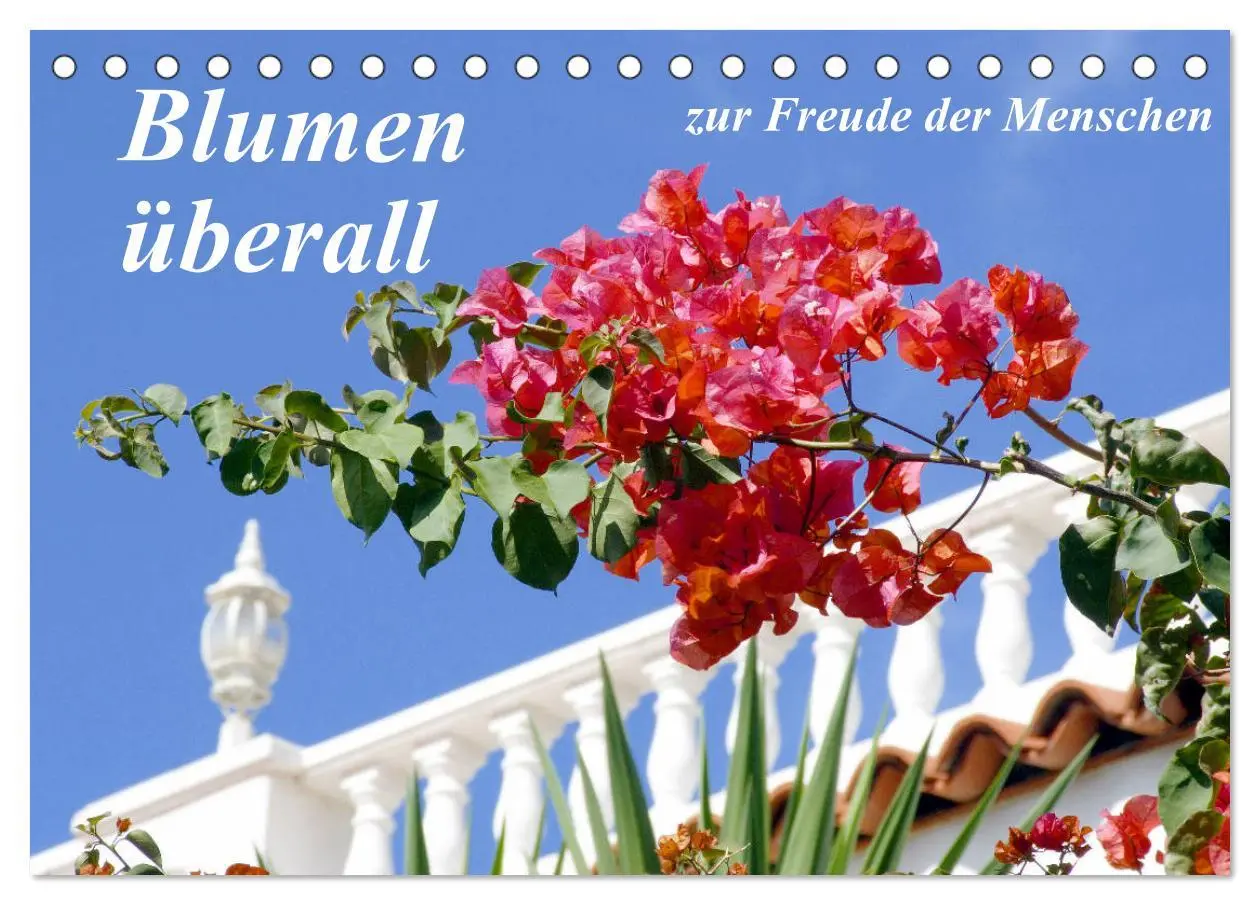 Cover: 9783435227211 | Blumen überall, zur Freude Menschen (Tischkalender 2025 DIN A5...