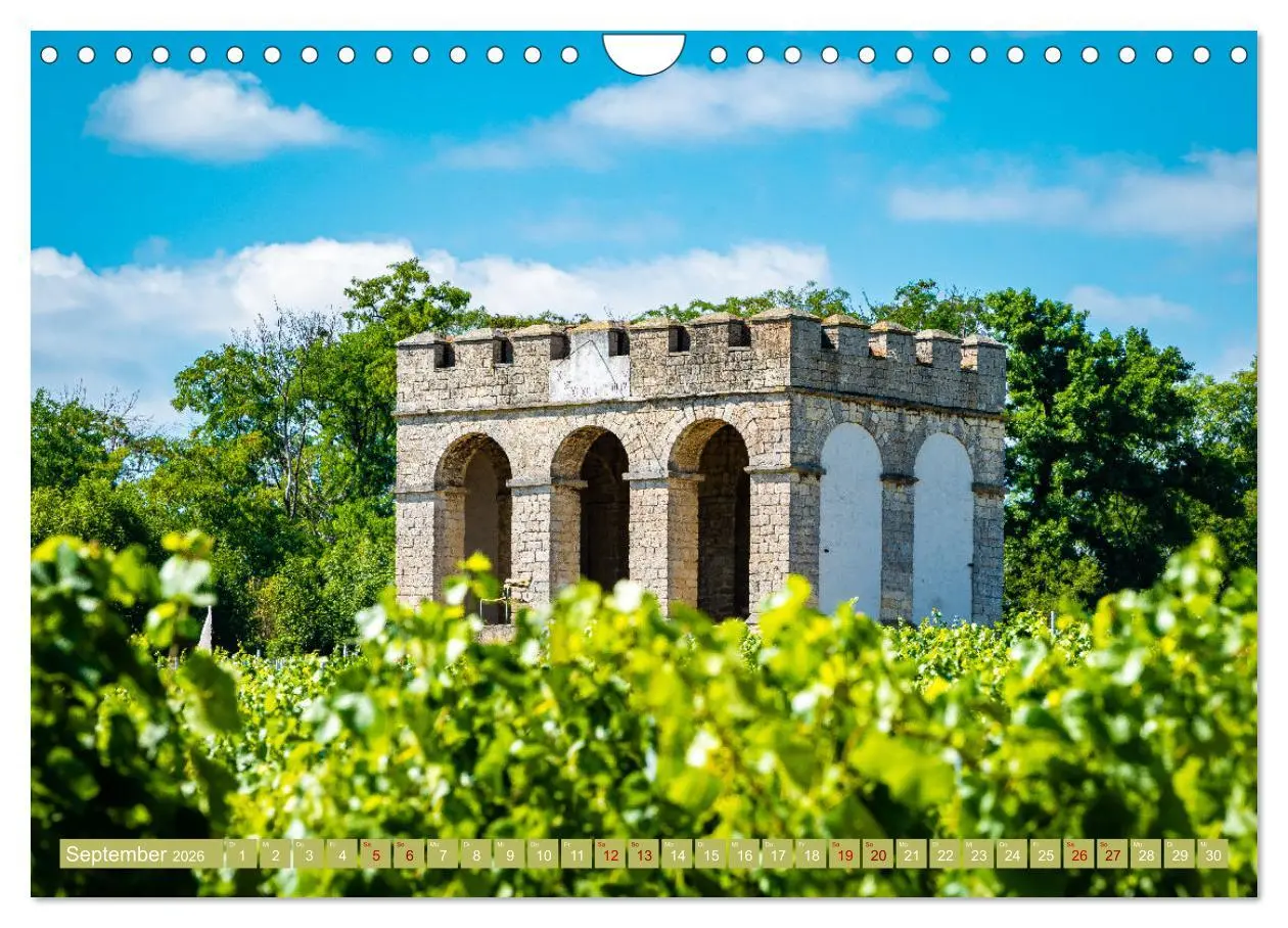 Bild: 9783457547311 | Weinberg-Architektur in Rheinhessen (Wandkalender 2026 DIN A4...