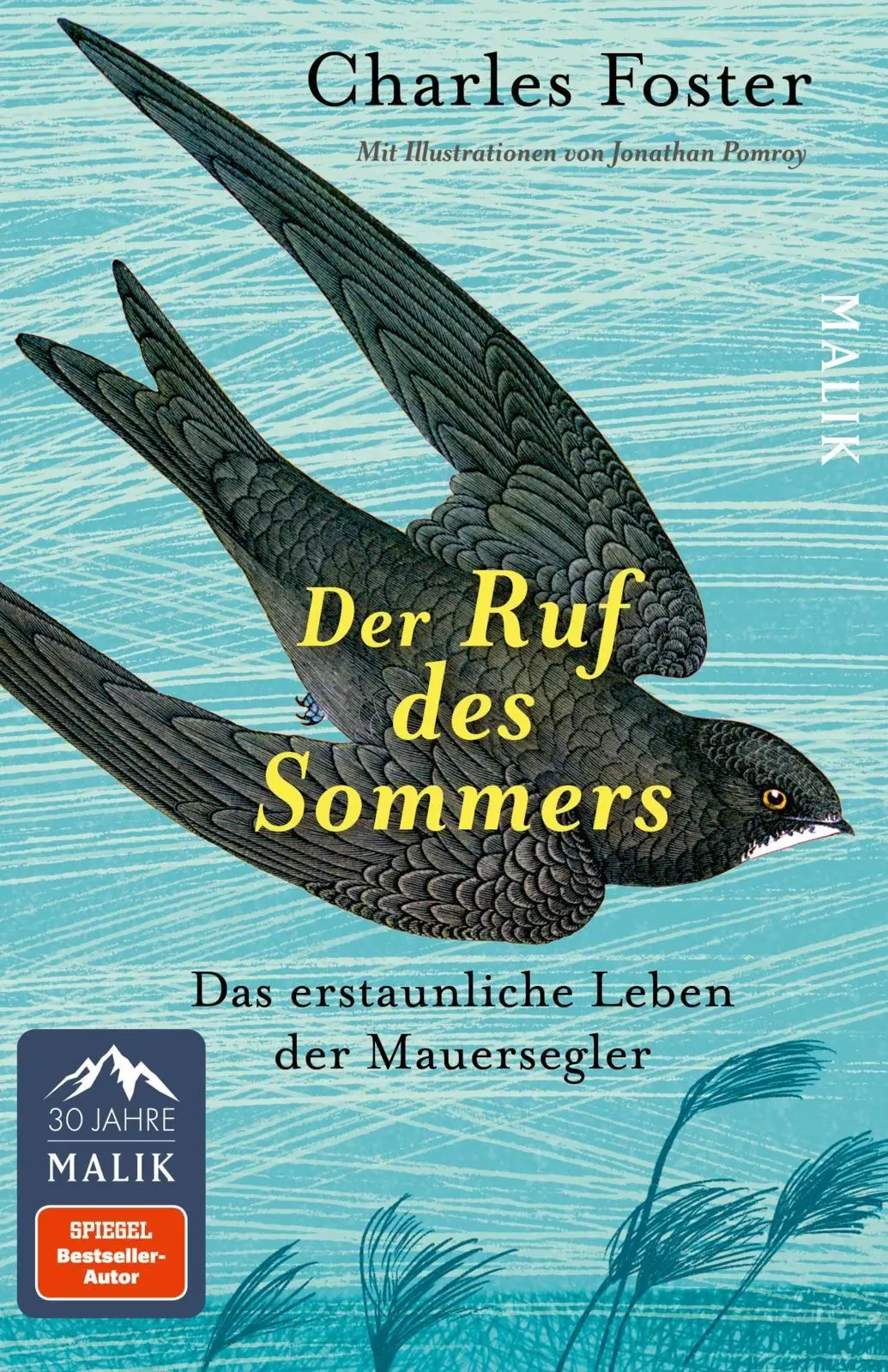 Cover: 9783492407311 | Der Ruf des Sommers | Charles Foster | Taschenbuch | 224 S. | Deutsch