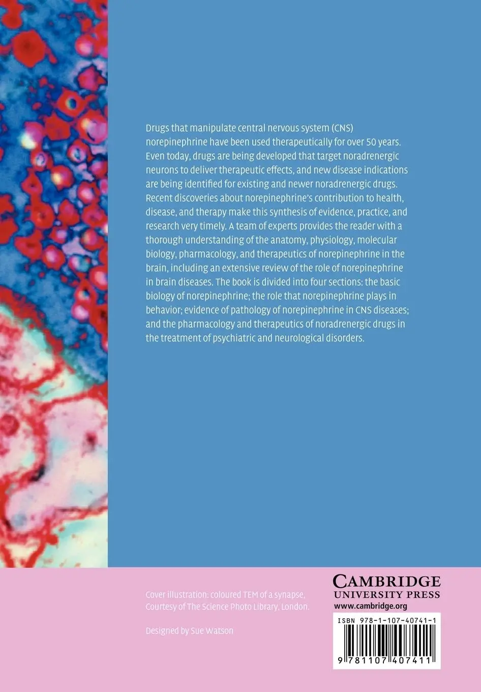 Rückseite: 9781107407411 | Brain Norepinephrine | Neurobiology and Therapeutics | Ordway (u. a.)