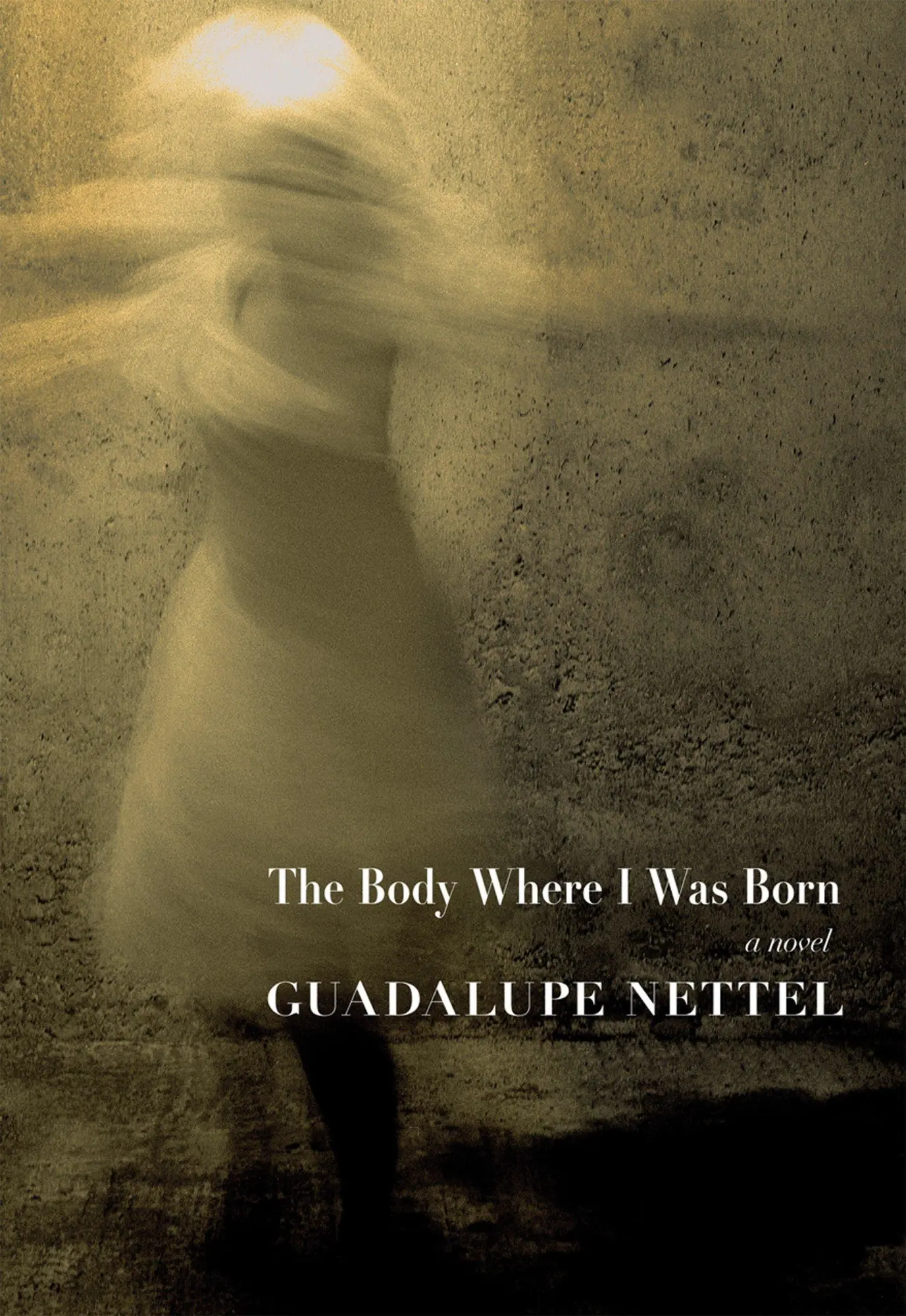 Cover: 9781609807511 | The Body Where I Was Born | Guadalupe Nettel | Taschenbuch | Englisch