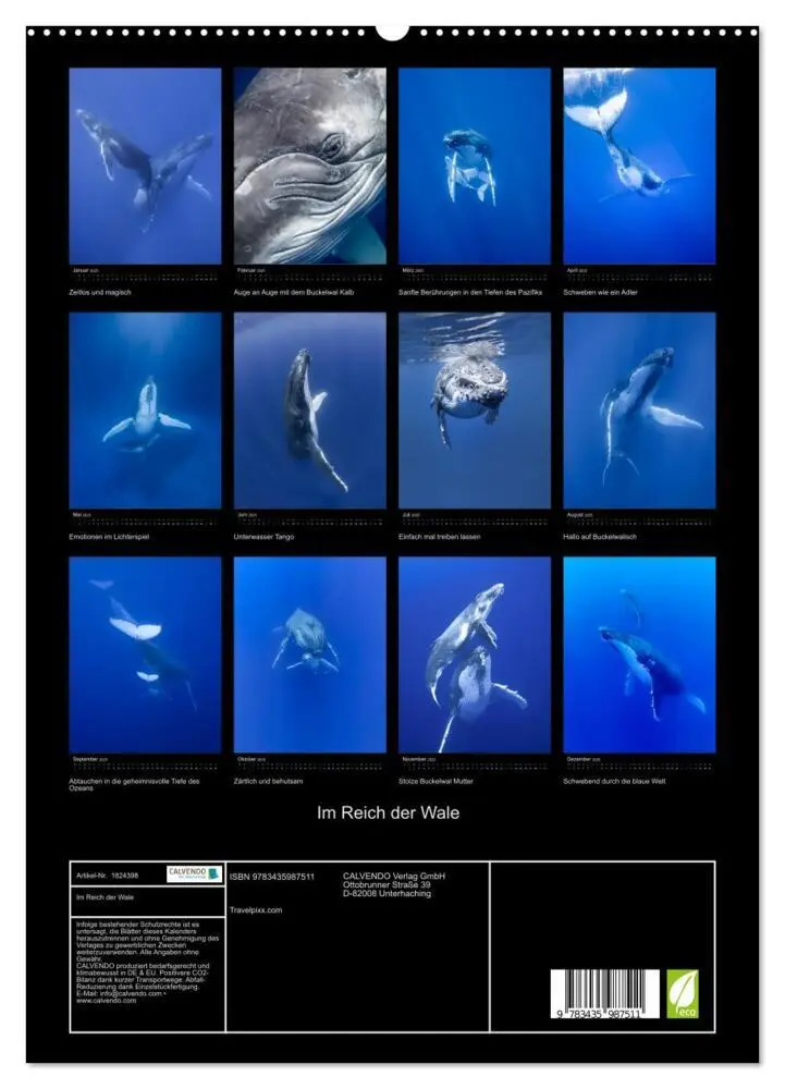 Bild: 9783435987511 | Im Reich der Wale (hochwertiger Premium Wandkalender 2025 DIN A2...