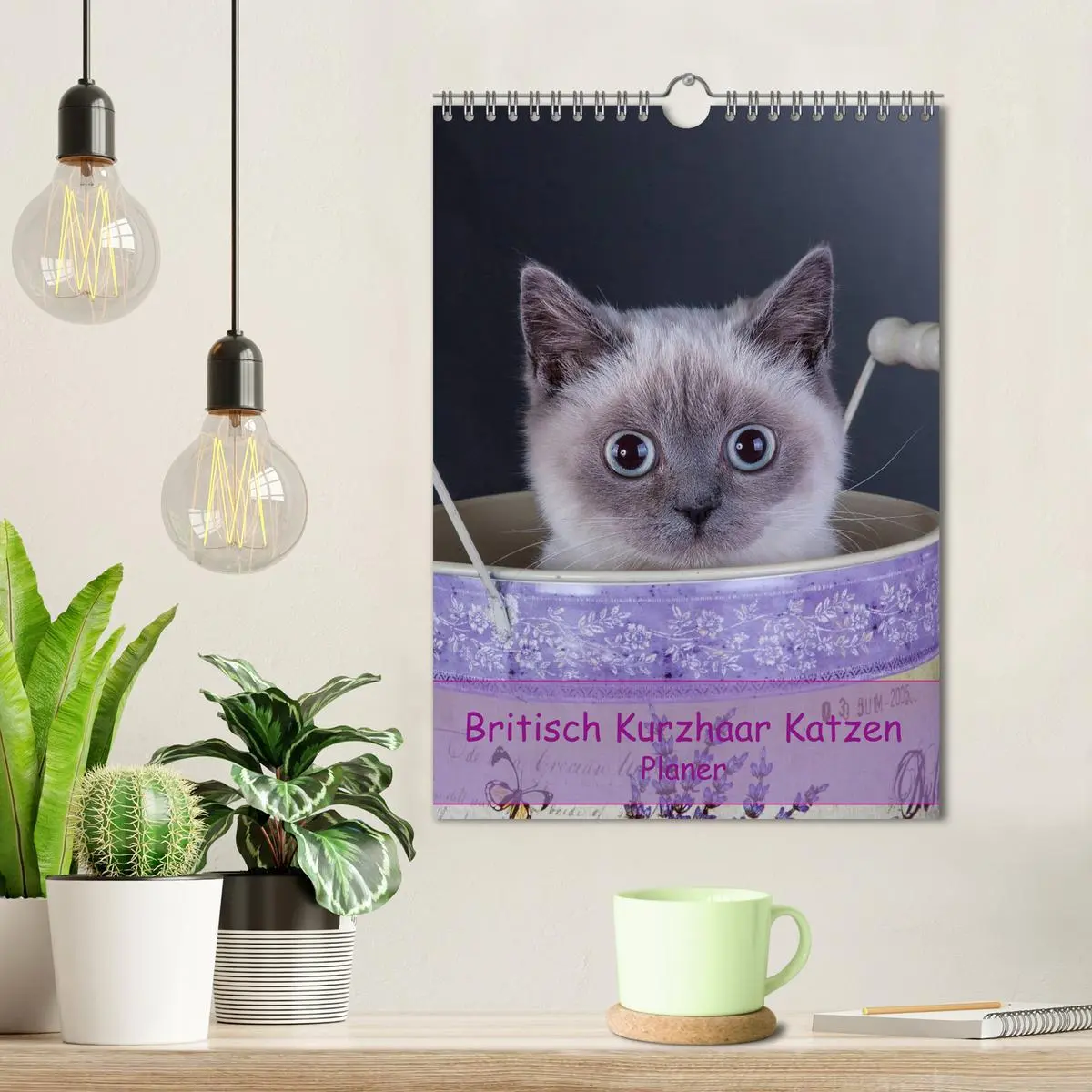 Bild: 9783516477511 | Britisch Kurzhaar Katzen - Planer (Wandkalender 2026 DIN A4 hoch),...