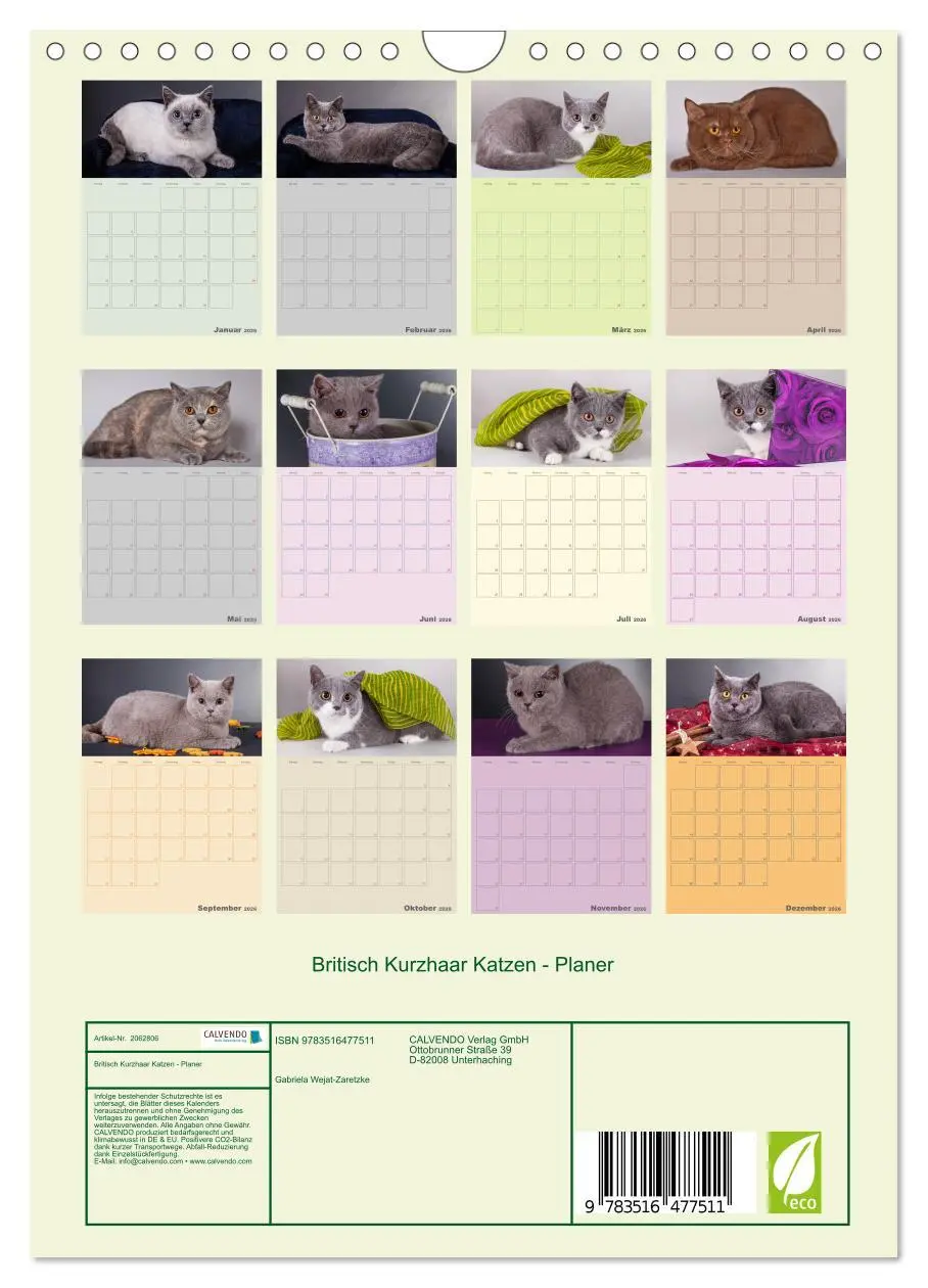 Bild: 9783516477511 | Britisch Kurzhaar Katzen - Planer (Wandkalender 2026 DIN A4 hoch),...