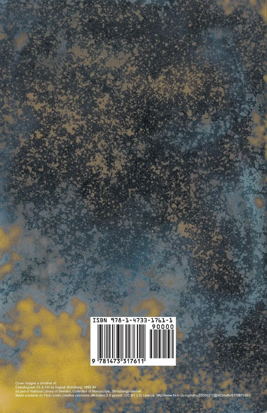 Rückseite: 9781473317611 | The Unlit Lamp | Radclyffe Hall | Taschenbuch | Englisch | 2014