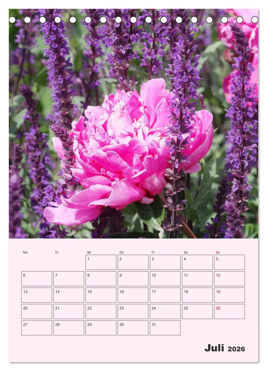 Bild: 9783516397611 | Pfingstrosen Rosen ohne Dornen (Tischkalender 2026 DIN A5 hoch),...