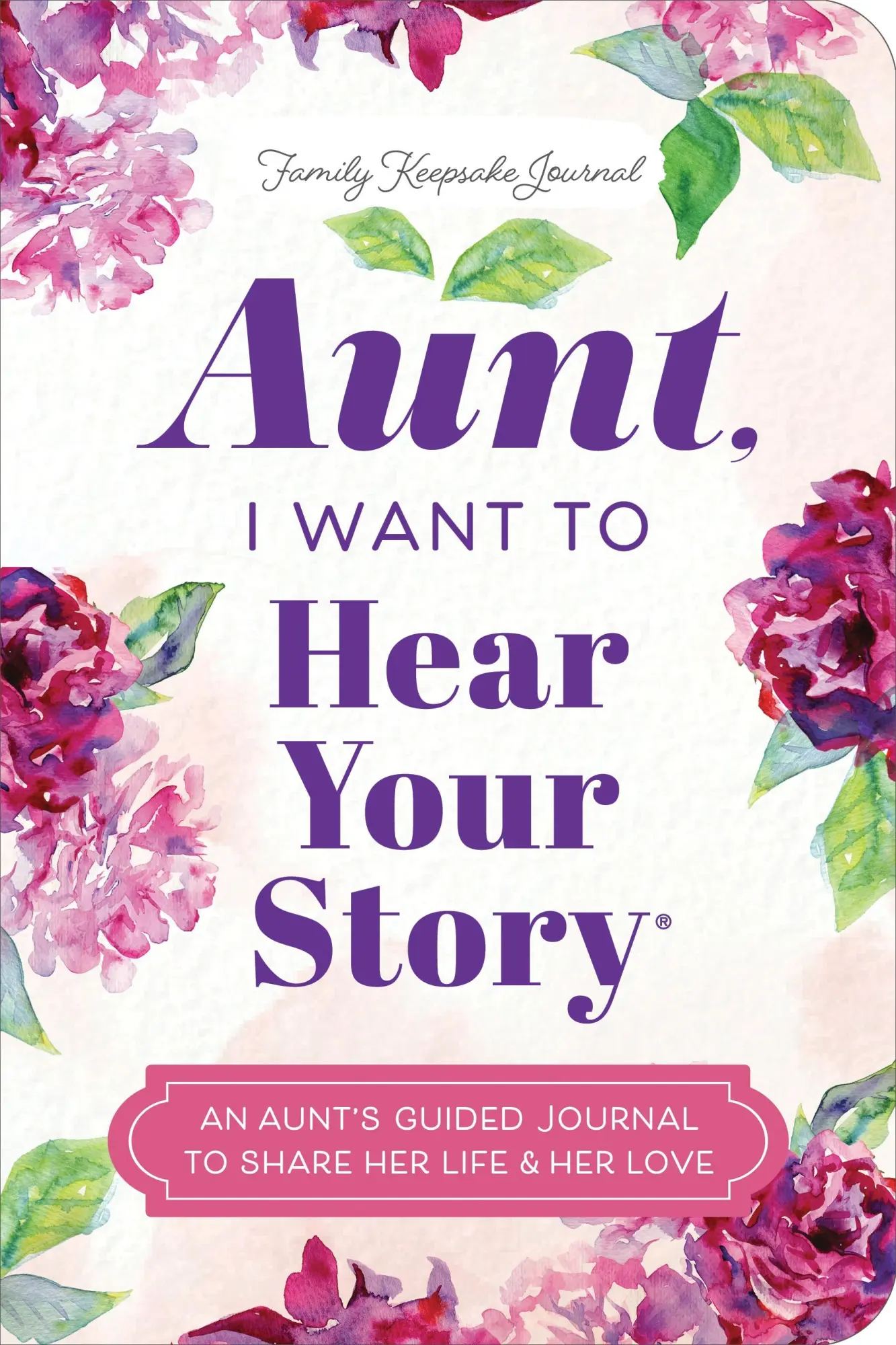 Cover: 9781464257711 | Aunt, I Want to Hear Your Story | Jeffrey Mason | Taschenbuch | 2026