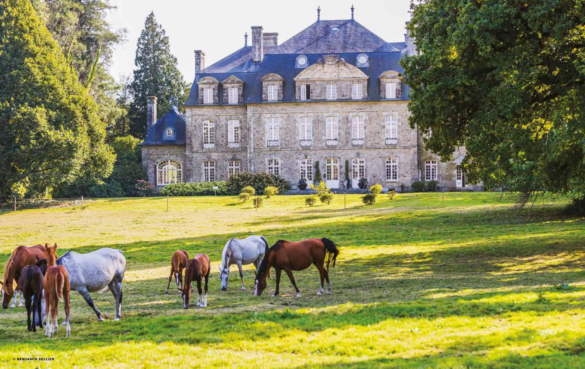 Bild: 9782361957711 | Destination Wellness - Unsere 35 besten Orte der Welt zum Entspannen