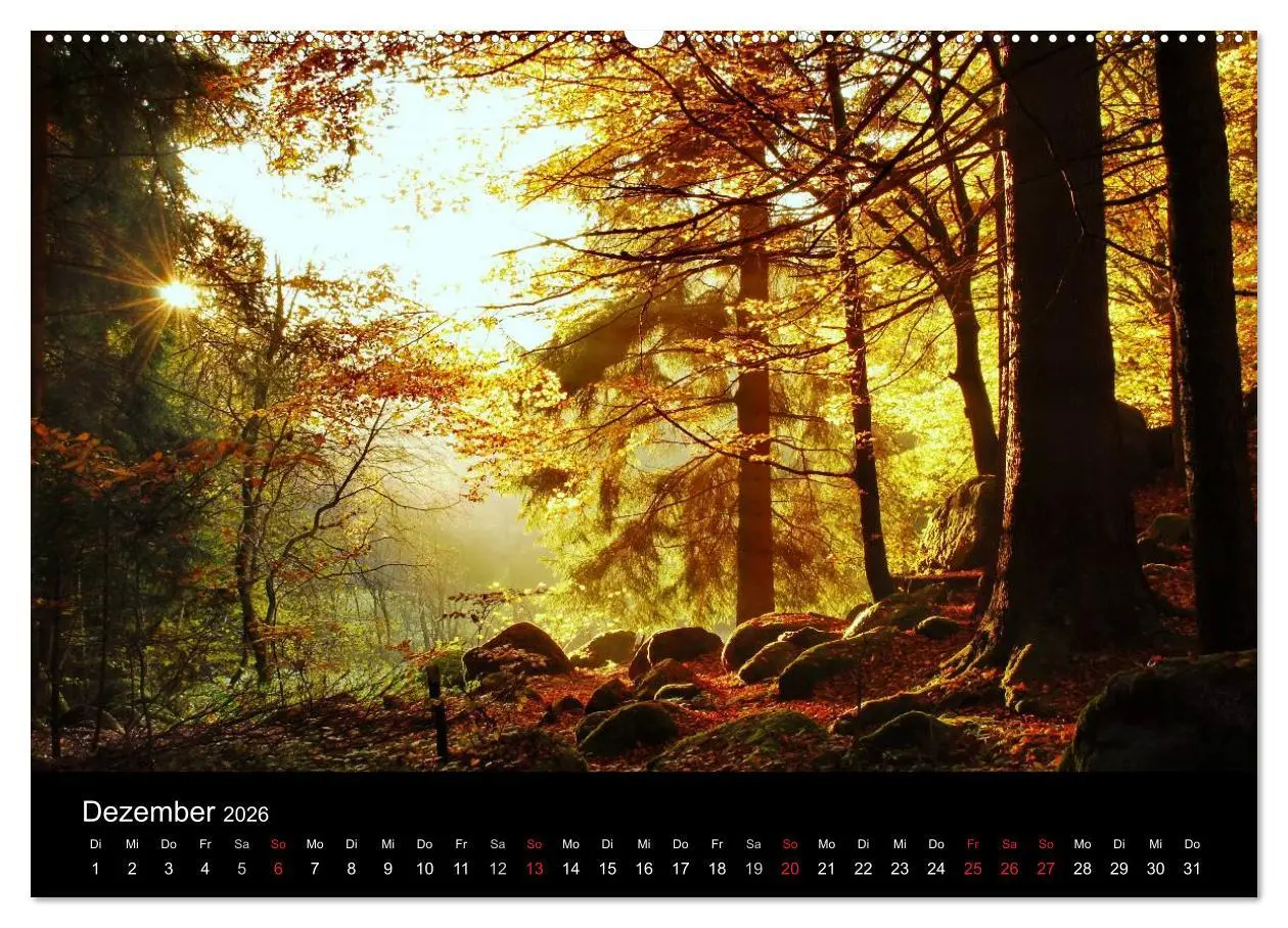 Bild: 9783457987711 | Zauberhafter Bayerischer Wald (Wandkalender 2026 DIN A2 quer),...