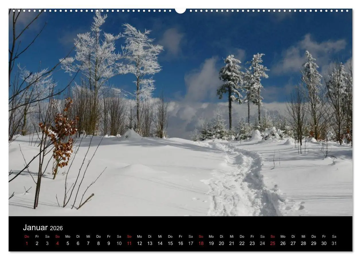 Bild: 9783457987711 | Zauberhafter Bayerischer Wald (Wandkalender 2026 DIN A2 quer),...