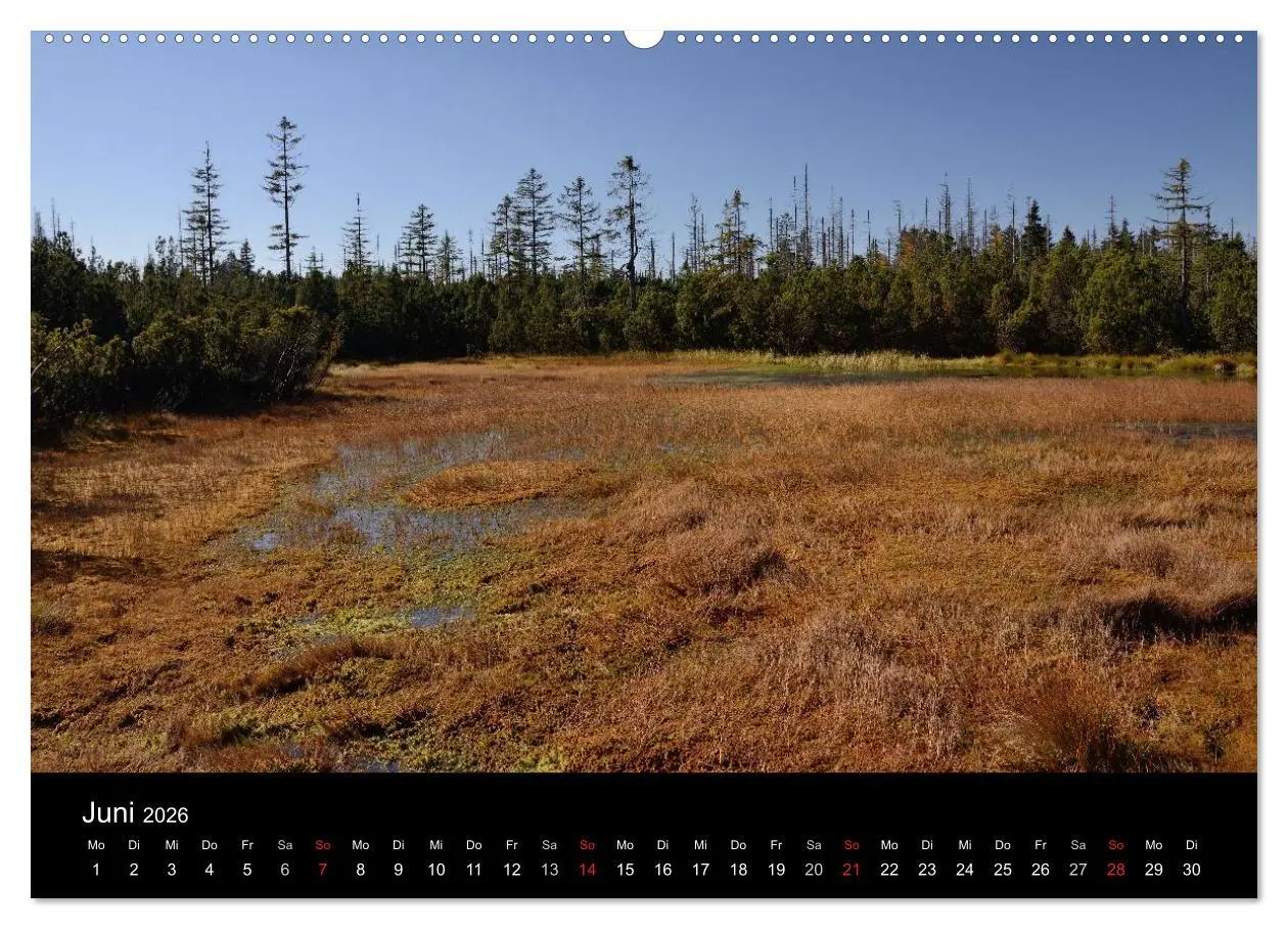 Bild: 9783457987711 | Zauberhafter Bayerischer Wald (Wandkalender 2026 DIN A2 quer),...