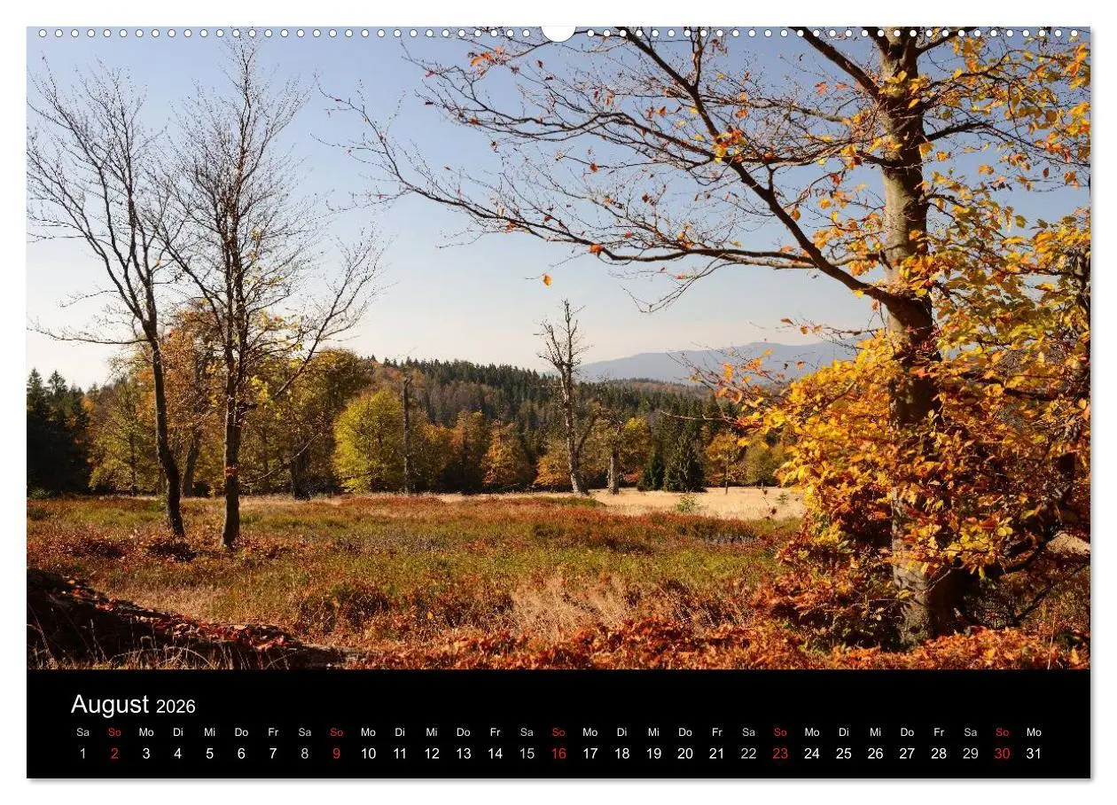Bild: 9783457987711 | Zauberhafter Bayerischer Wald (Wandkalender 2026 DIN A2 quer),...