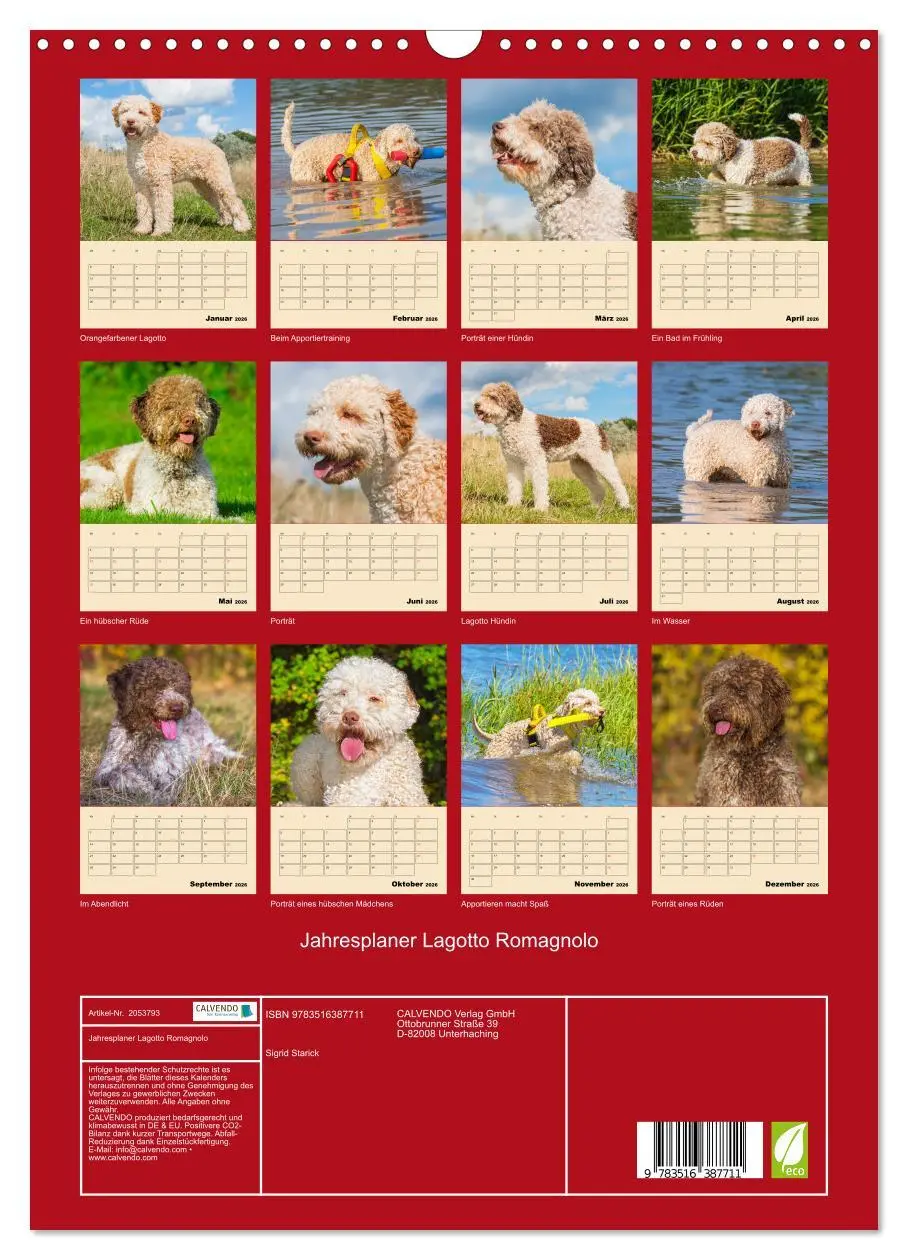 Bild: 9783516387711 | Jahresplaner Lagotto Romagnolo (Wandkalender 2026 DIN A3 hoch),...