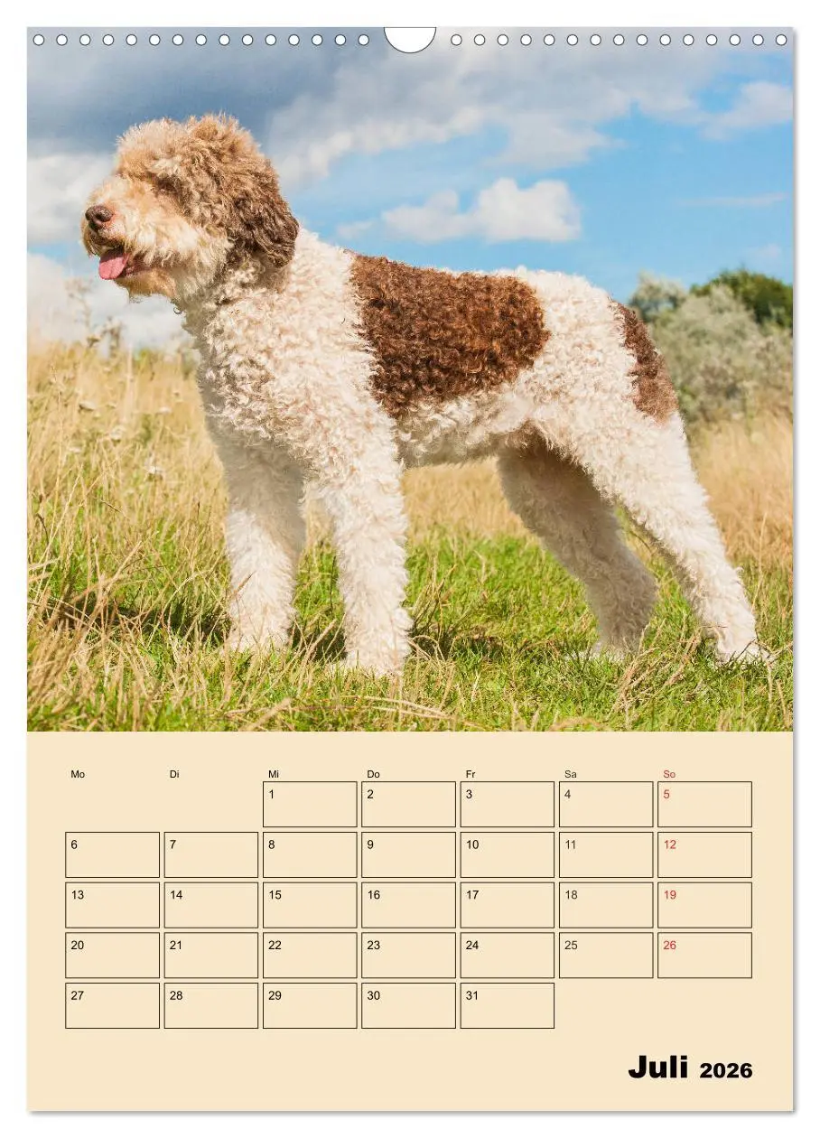 Bild: 9783516387711 | Jahresplaner Lagotto Romagnolo (Wandkalender 2026 DIN A3 hoch),...