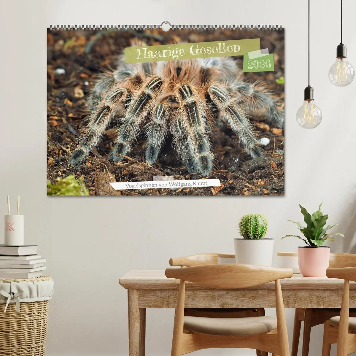 Bild: 9783457347911 | Haarige Gesellen (Wandkalender 2026 DIN A2 quer), CALVENDO...