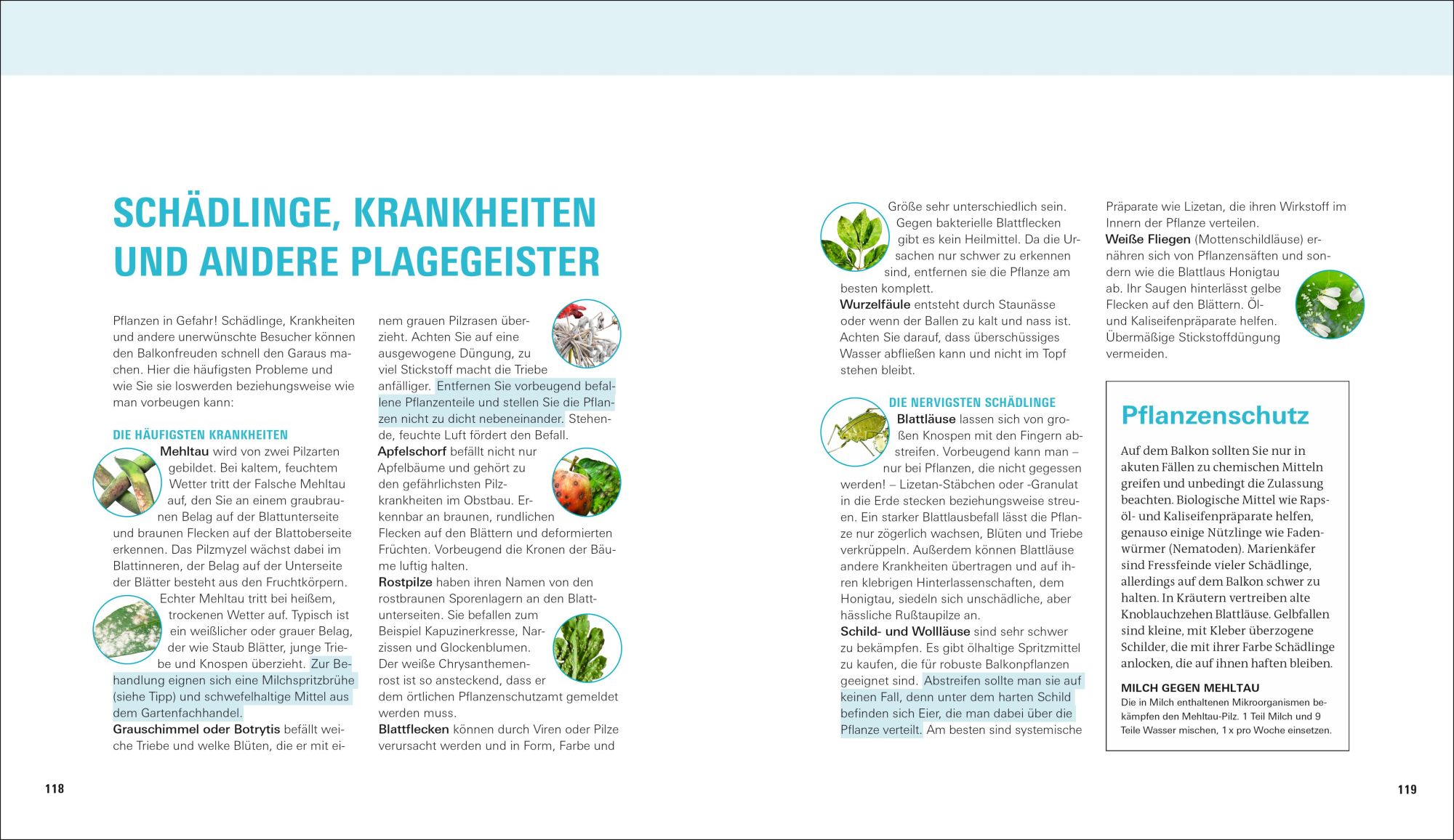 Bild: 9783747107911 | Balkongärtnern | Jetzt wird's richtig schön Sonderausgabe | Peterson