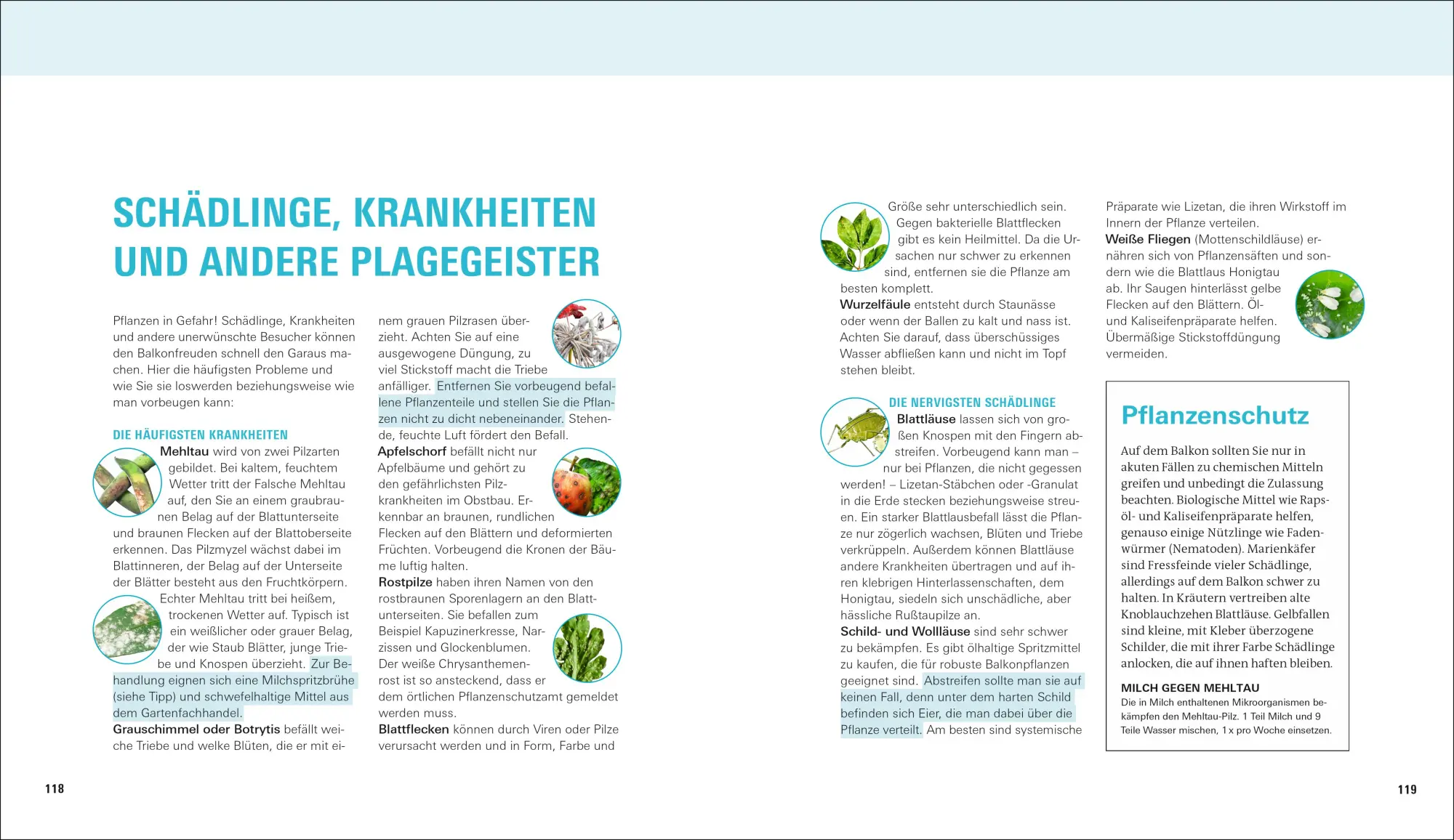 Bild: 9783747107911 | Balkongärtnern | Jetzt wird's richtig schön Sonderausgabe | Peterson