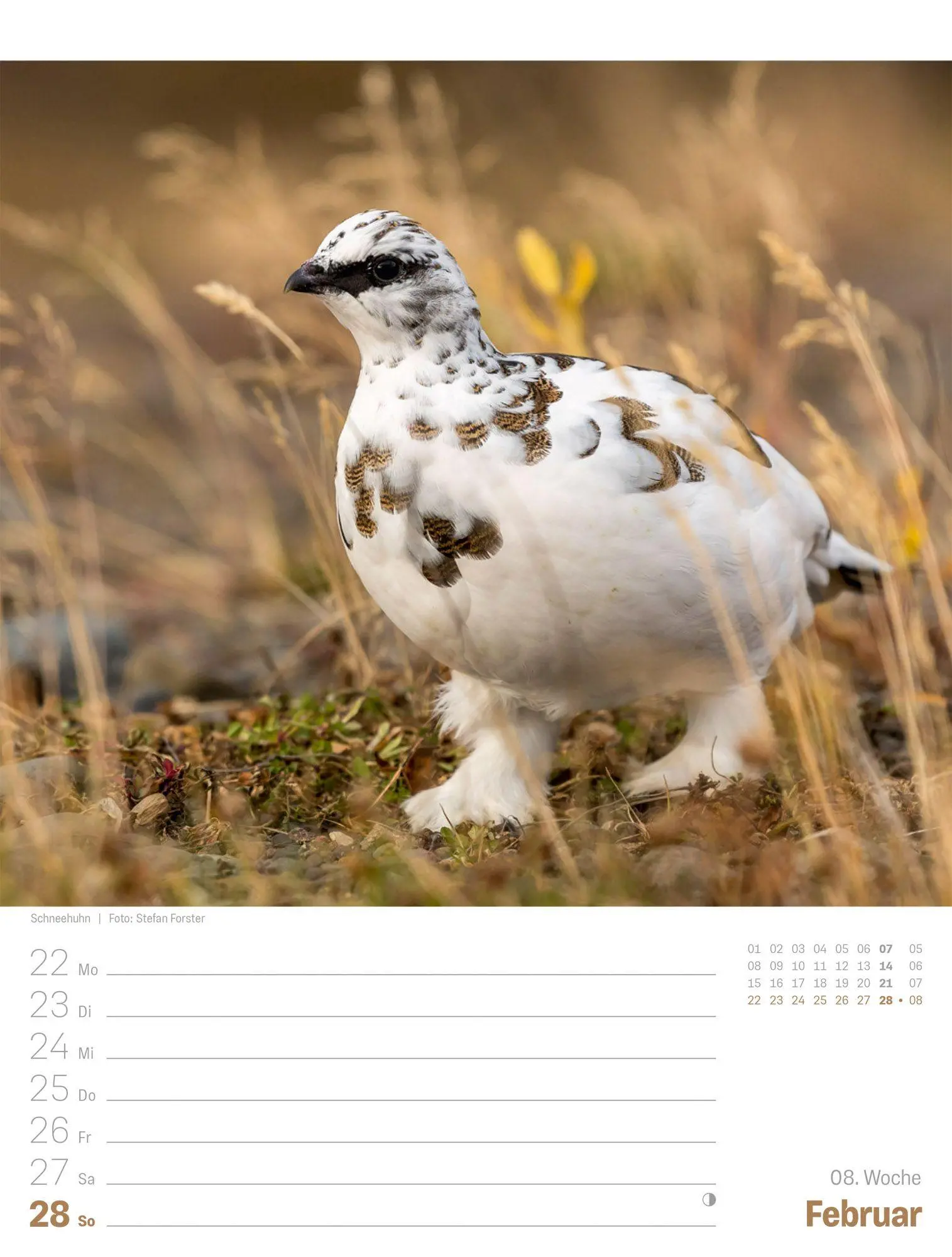 Bild: 9783838427911 | Island Wochenplaner Kalender 2027 Die Insel aus Feuer und Eis | GmbH