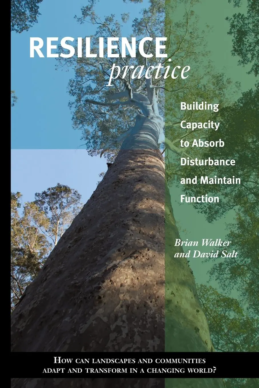 Cover: 9781597268011 | Resilience Practice | Brian Walker (u. a.) | Taschenbuch | Englisch
