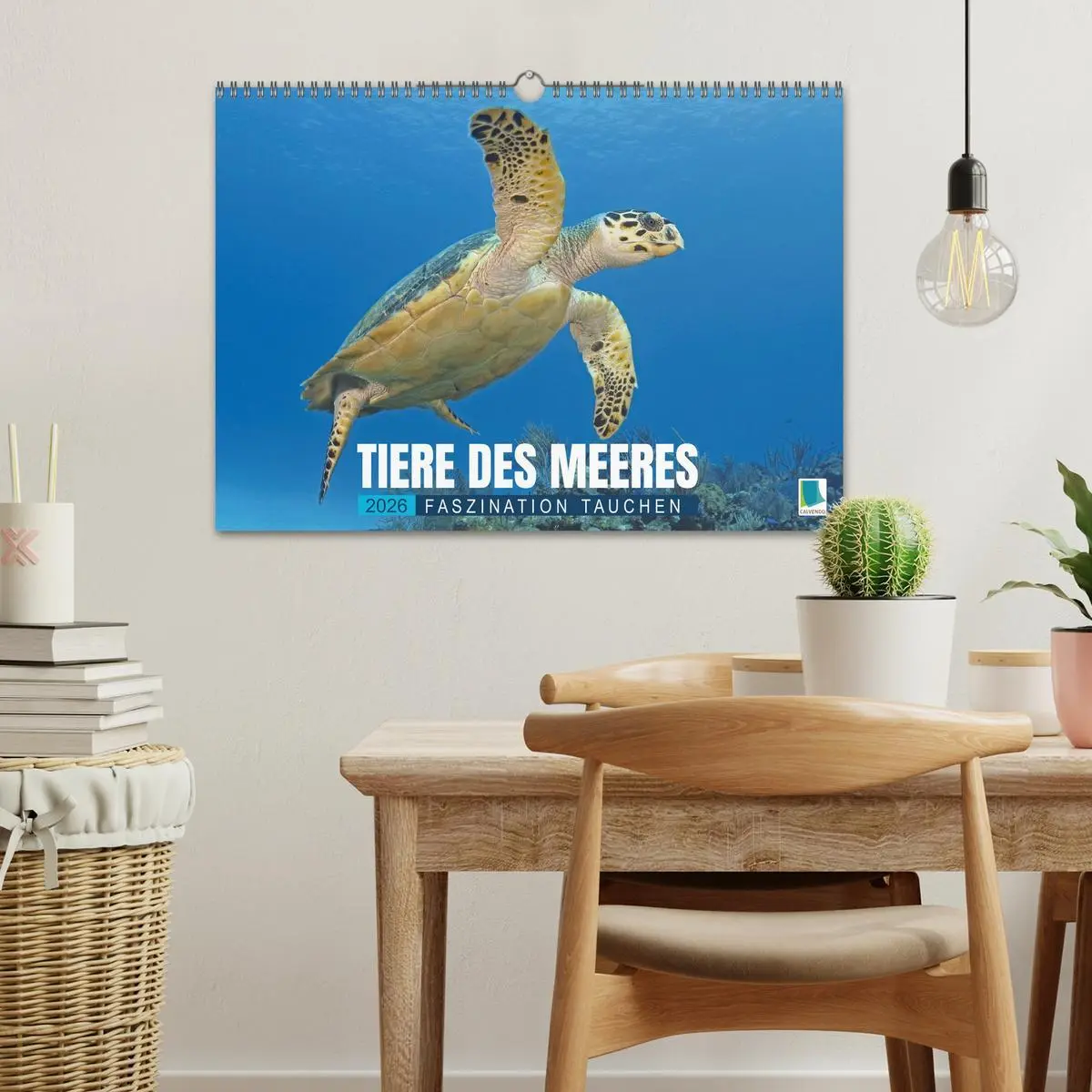 Bild: 9783516638011 | Tiere des Meeres: Faszination Tauchen (Wandkalender 2026 DIN A3...