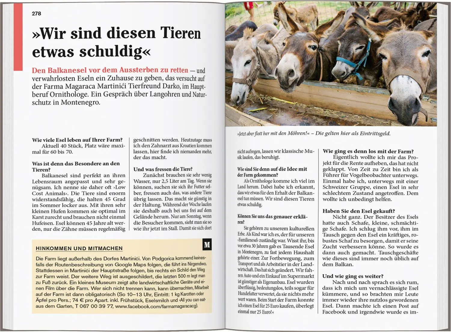 Bild: 9783616008011 | DUMONT Reise-Taschenbuch Reiseführer Montenegro | Schedlbauer (u. a.)