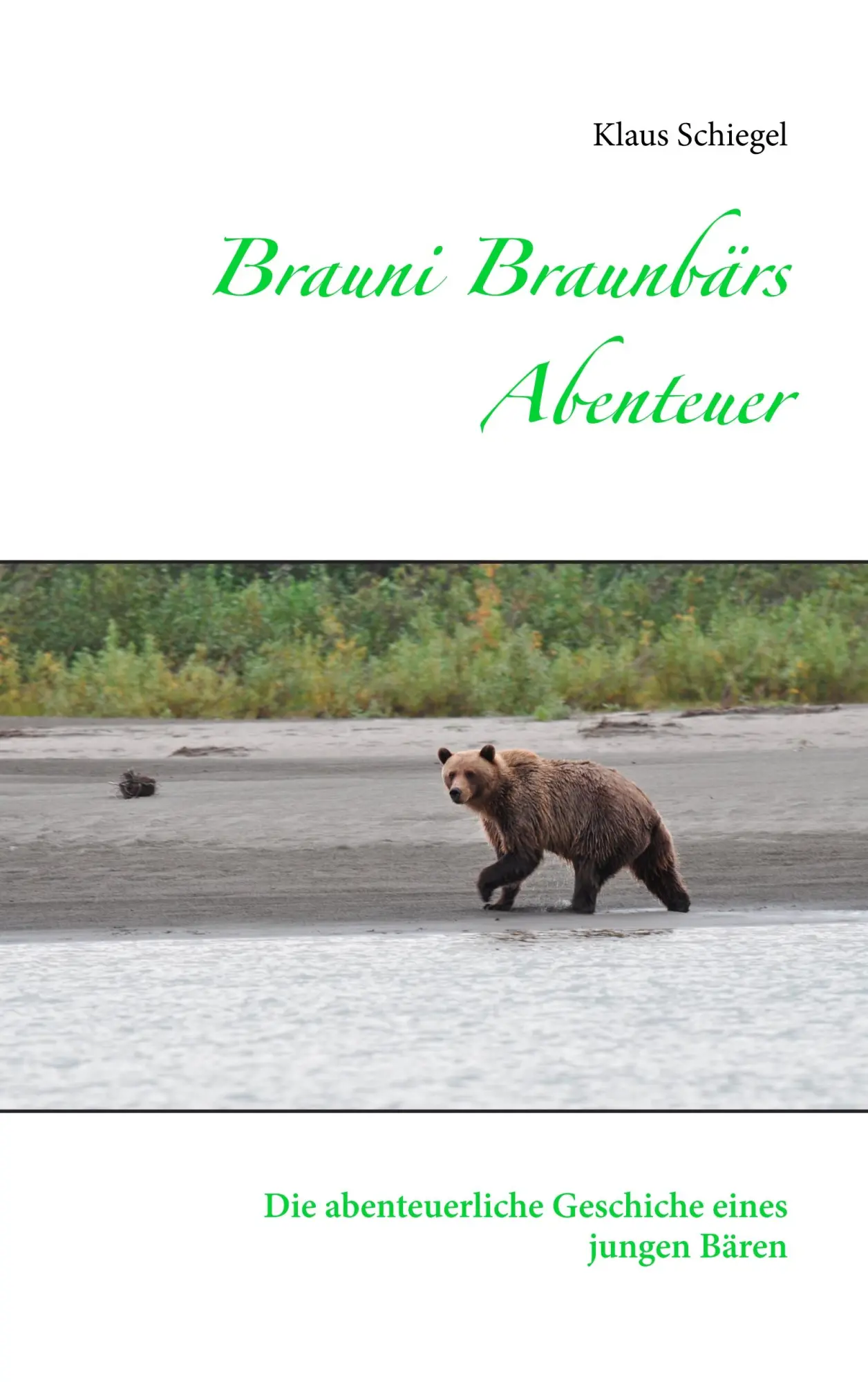 Cover: 9783739248011 | Brauni Braunbärs Abenteuer | Klaus Schiegel | Taschenbuch | 54 S.