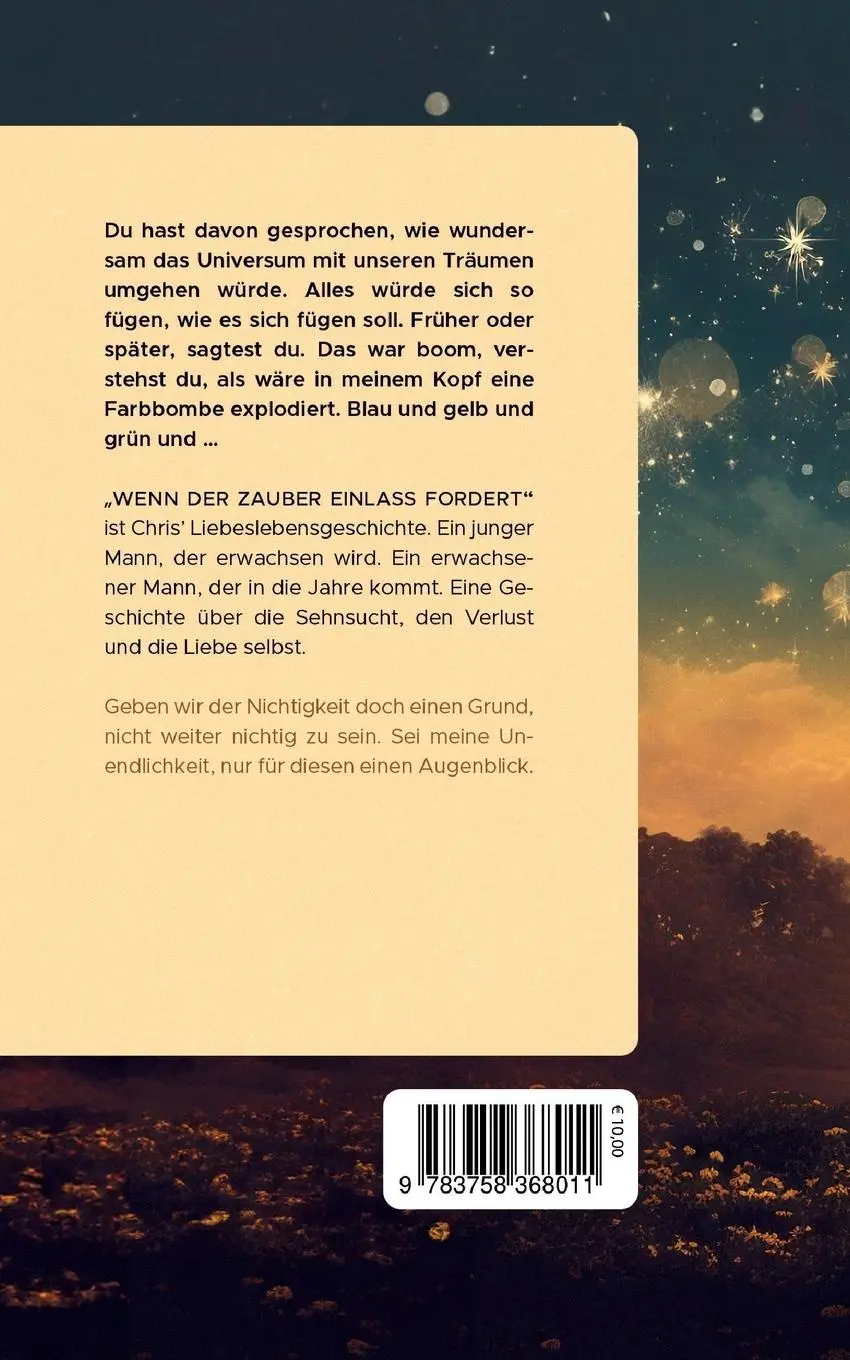 Rückseite: 9783758368011 | Wenn der Zauber Einlass fordert | Theodoros Iatridis | Taschenbuch