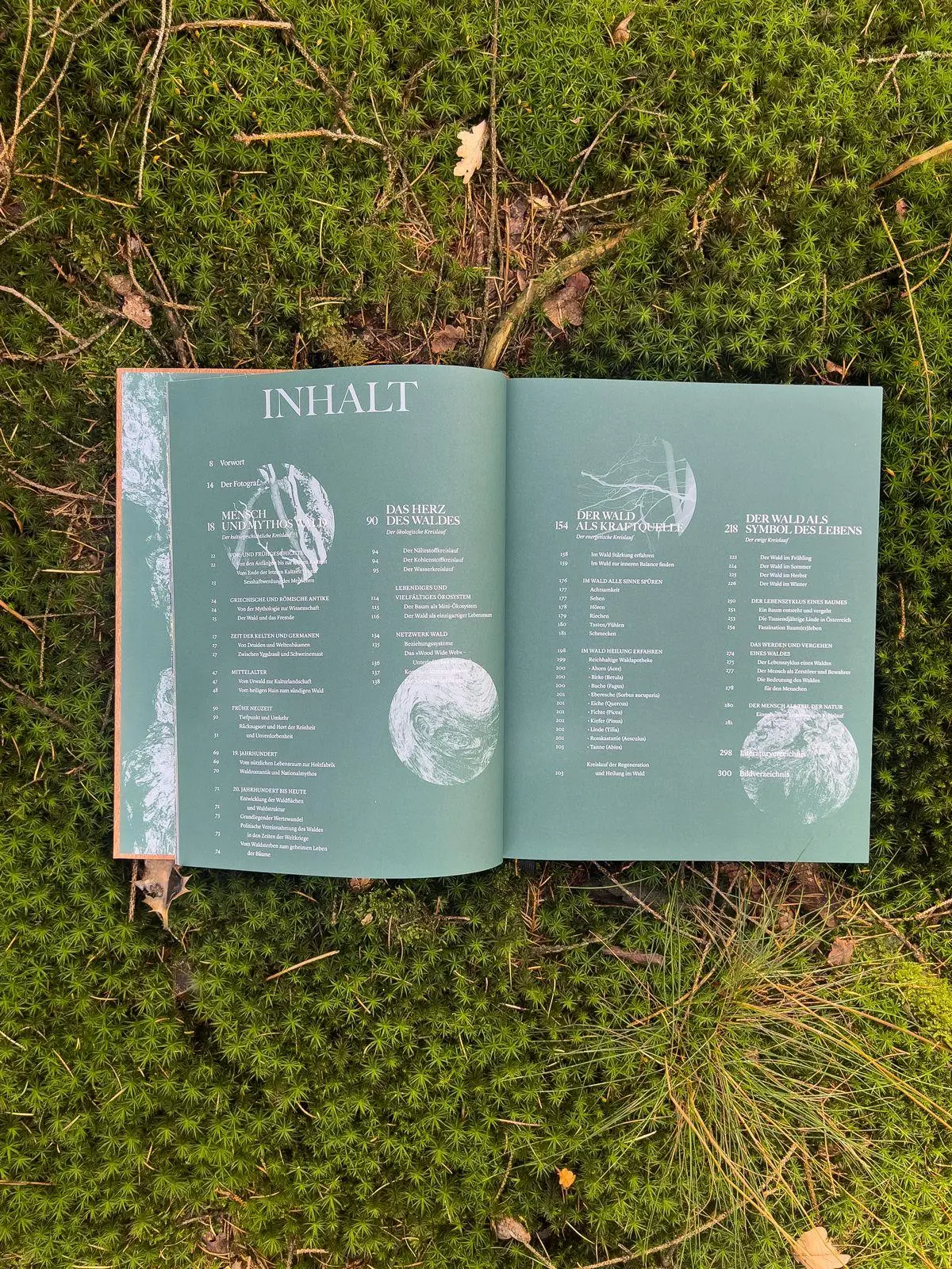 Bild: 9783911408011 | THE WOODS | Pia Franziska Kraus | Buch | 304 S. | Deutsch | 2025