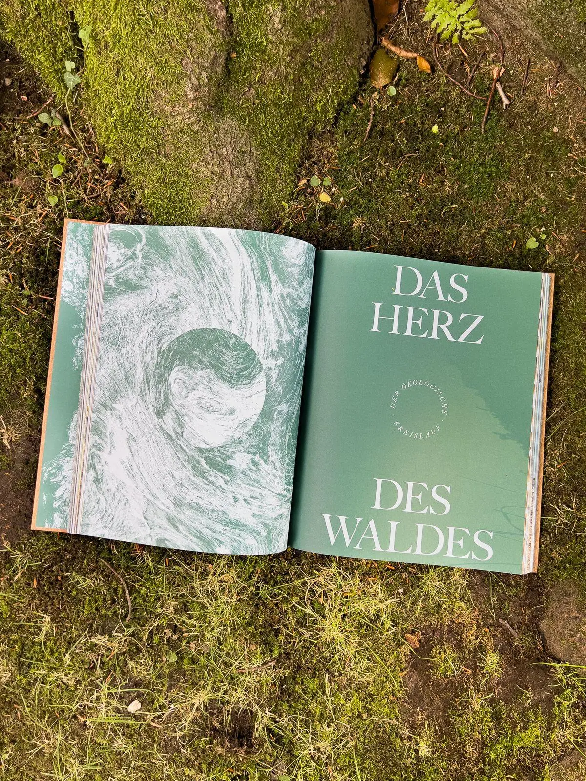 Bild: 9783911408011 | THE WOODS | Pia Franziska Kraus | Buch | 304 S. | Deutsch | 2025