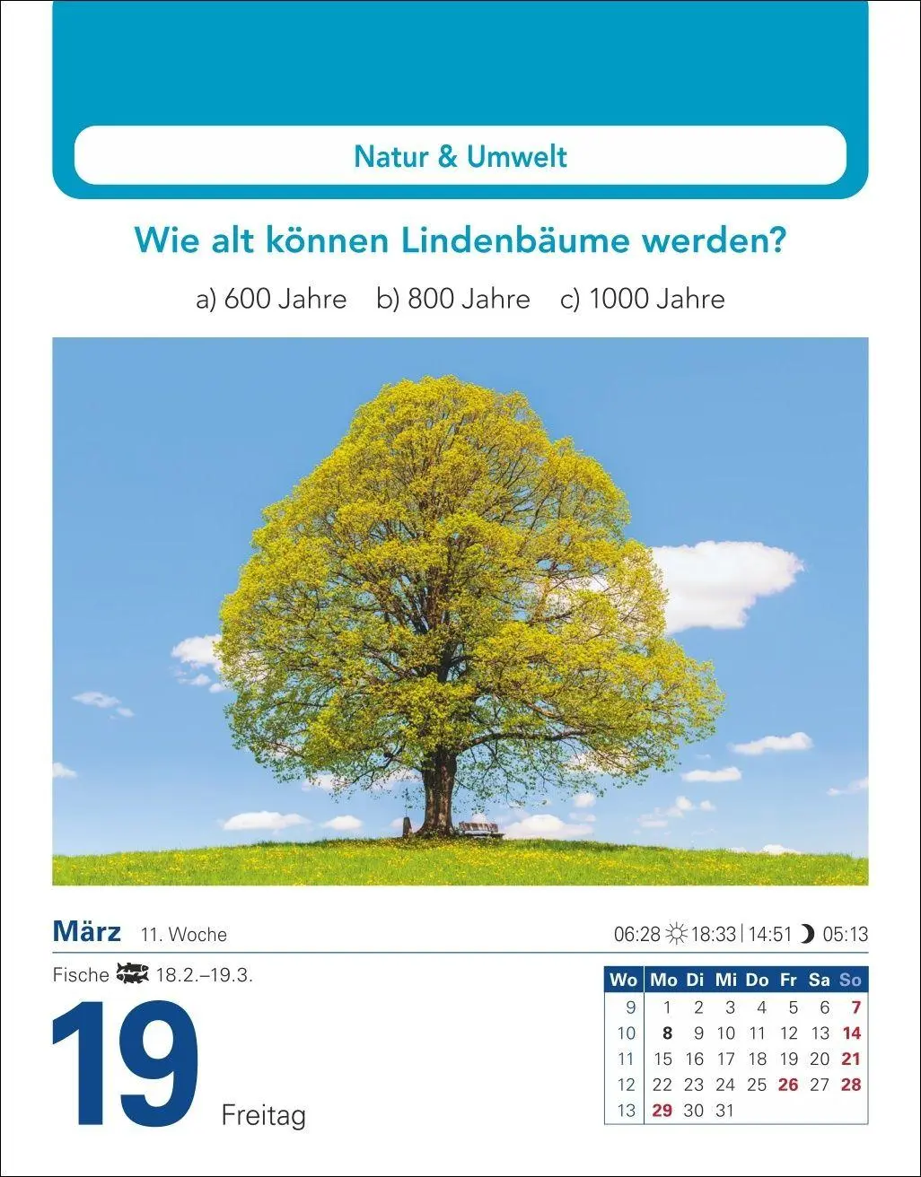 Bild: 9783840038211 | Allgemeinbildung Tagesabreißkalender 2027 - Das tägliche Wissens-Quiz