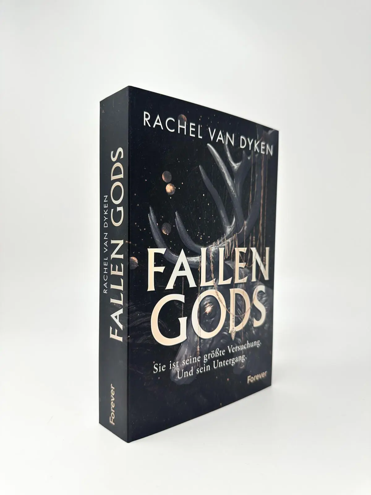 Bild: 9783958188211 | Fallen Gods | Roman | Rachel Van Dyken | Taschenbuch | Fallen Gods