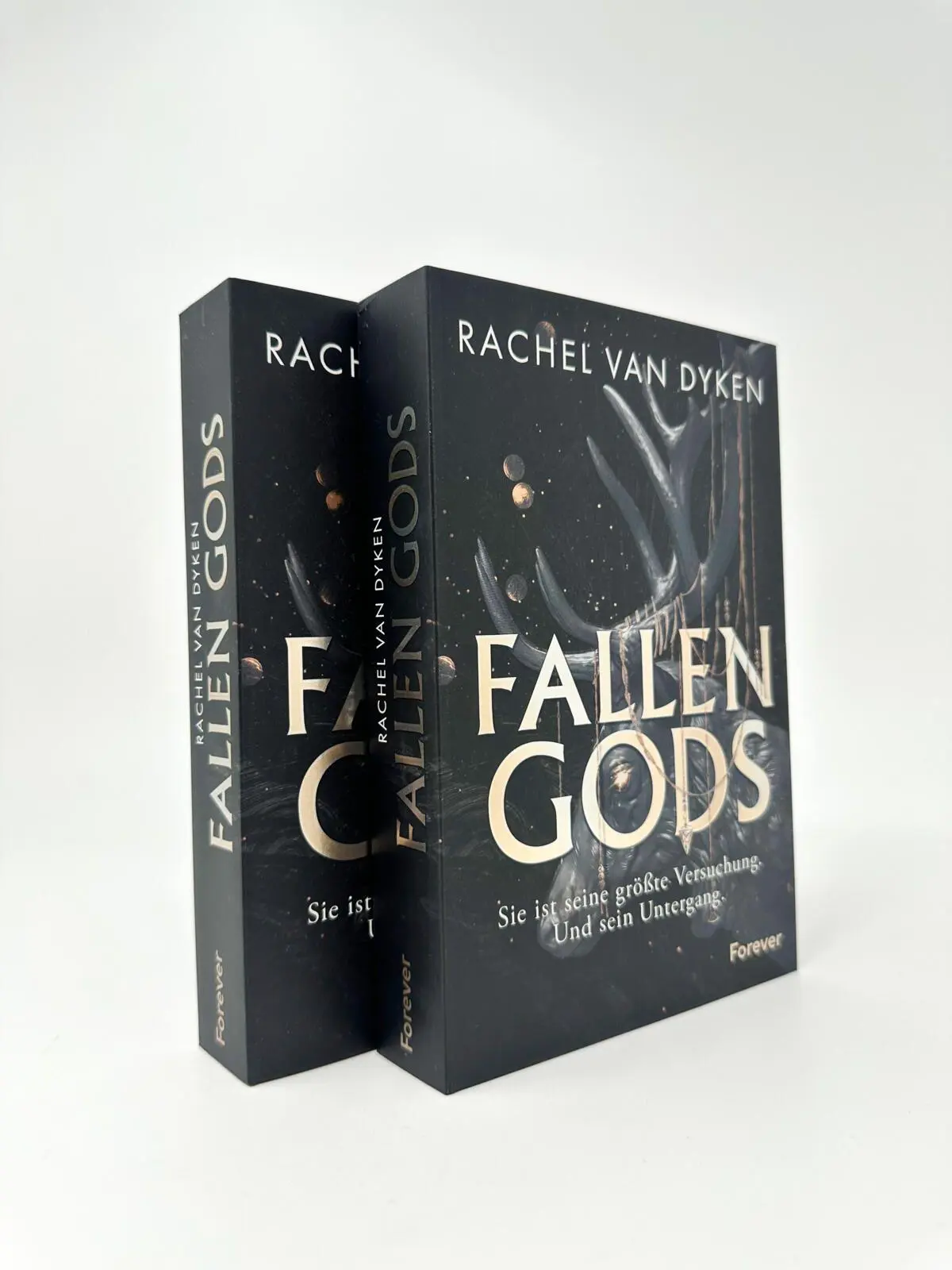 Bild: 9783958188211 | Fallen Gods | Roman | Rachel Van Dyken | Taschenbuch | Fallen Gods