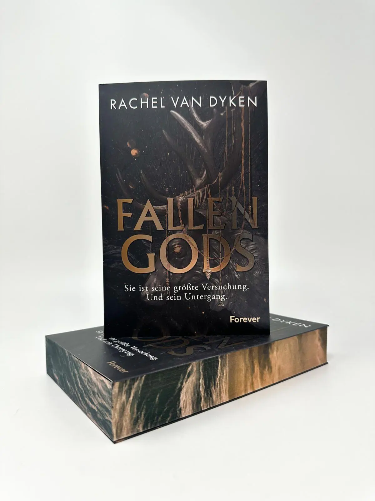 Bild: 9783958188211 | Fallen Gods | Roman | Rachel Van Dyken | Taschenbuch | Fallen Gods