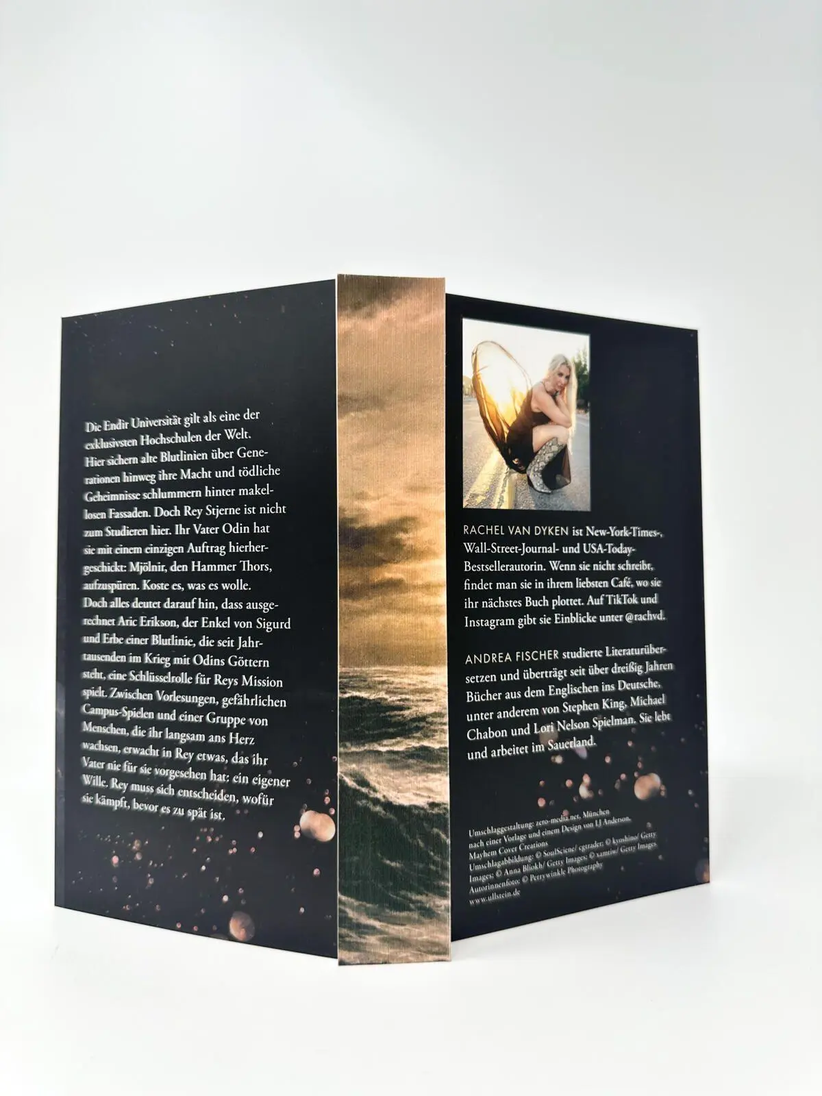 Bild: 9783958188211 | Fallen Gods | Roman | Rachel Van Dyken | Taschenbuch | Fallen Gods