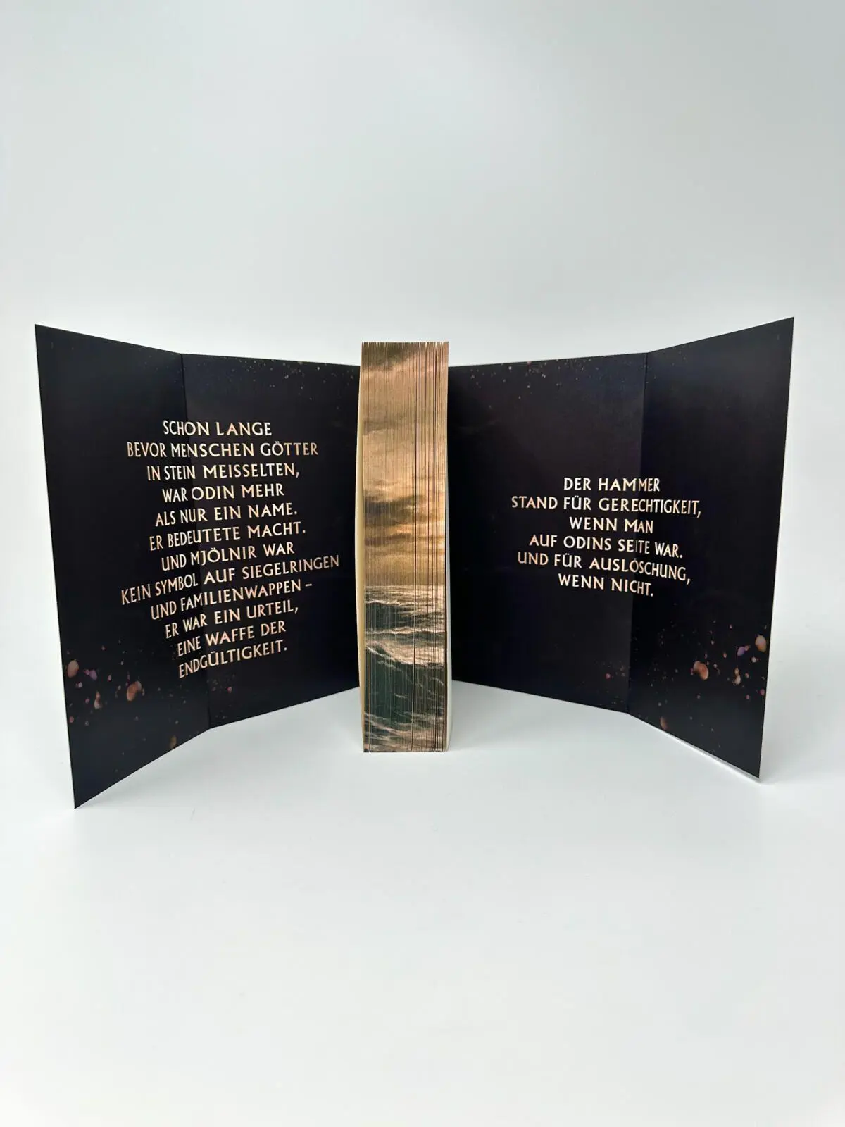 Bild: 9783958188211 | Fallen Gods | Roman | Rachel Van Dyken | Taschenbuch | Fallen Gods