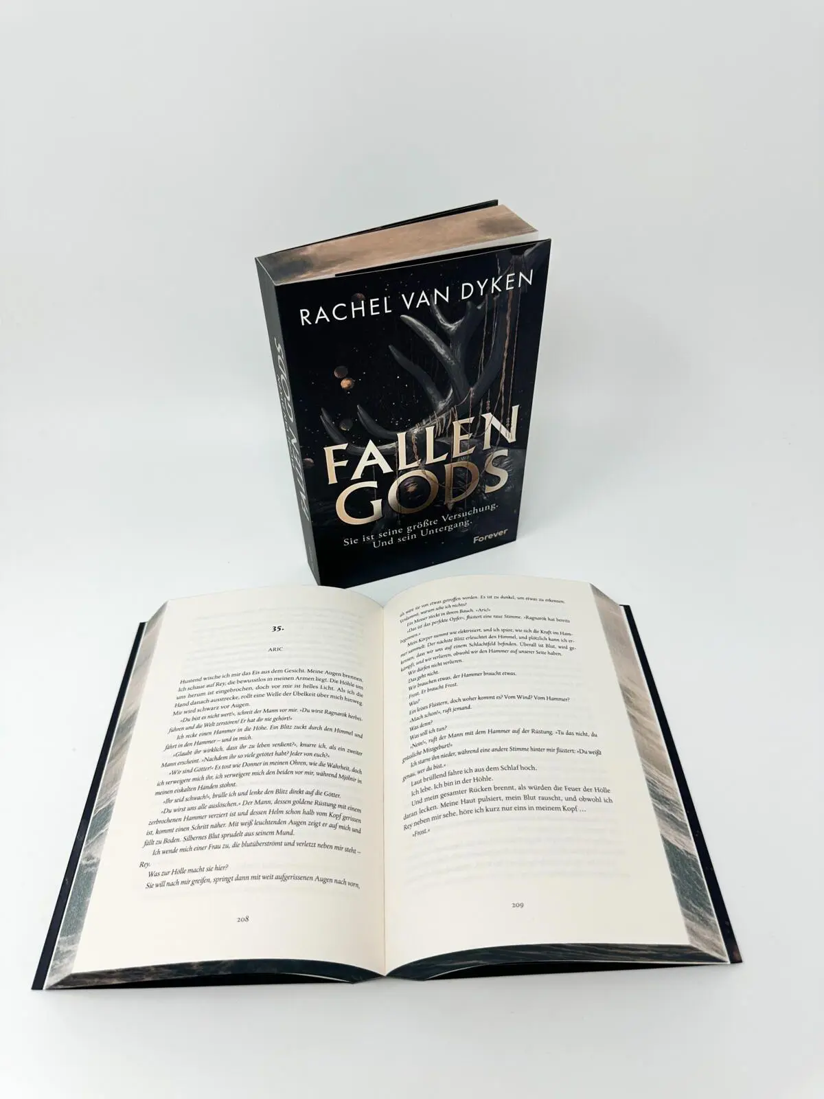 Bild: 9783958188211 | Fallen Gods | Roman | Rachel Van Dyken | Taschenbuch | Fallen Gods