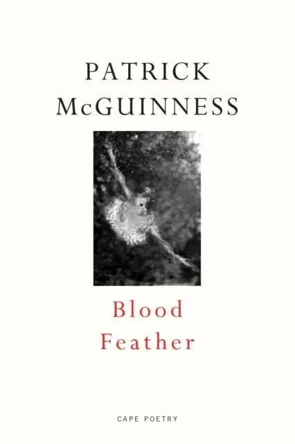 Cover: 9780224098311 | Blood Feather | Patrick McGuinness | Taschenbuch | Englisch | 2023