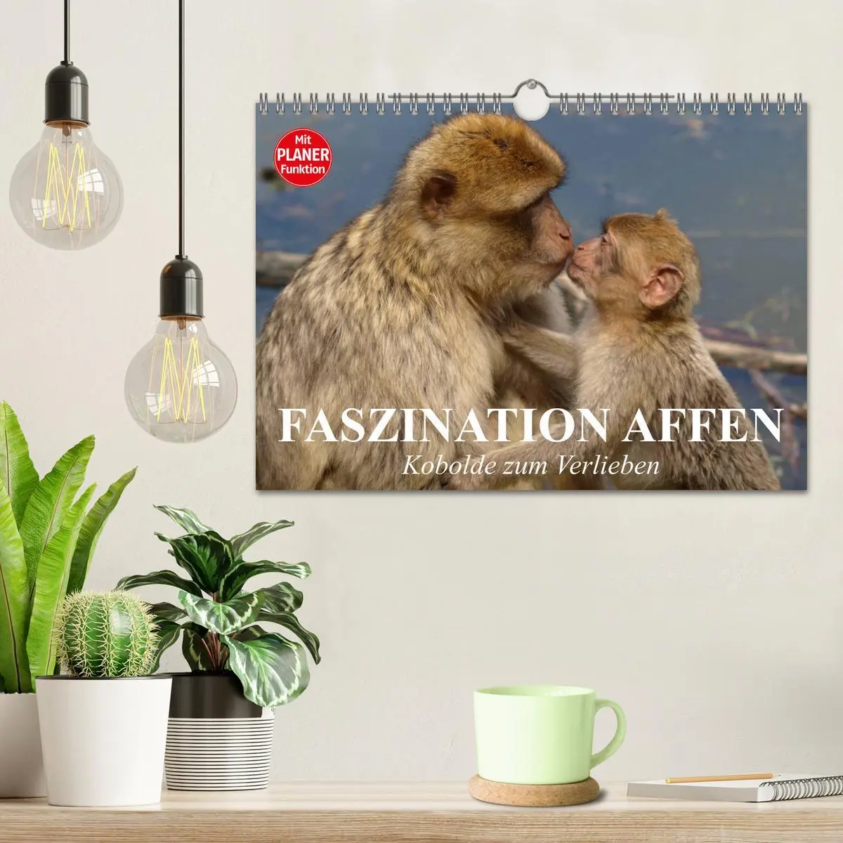 Bild: 9783457998311 | Faszination Affen. Kobolde zum Verlieben (Wandkalender 2026 DIN A4...