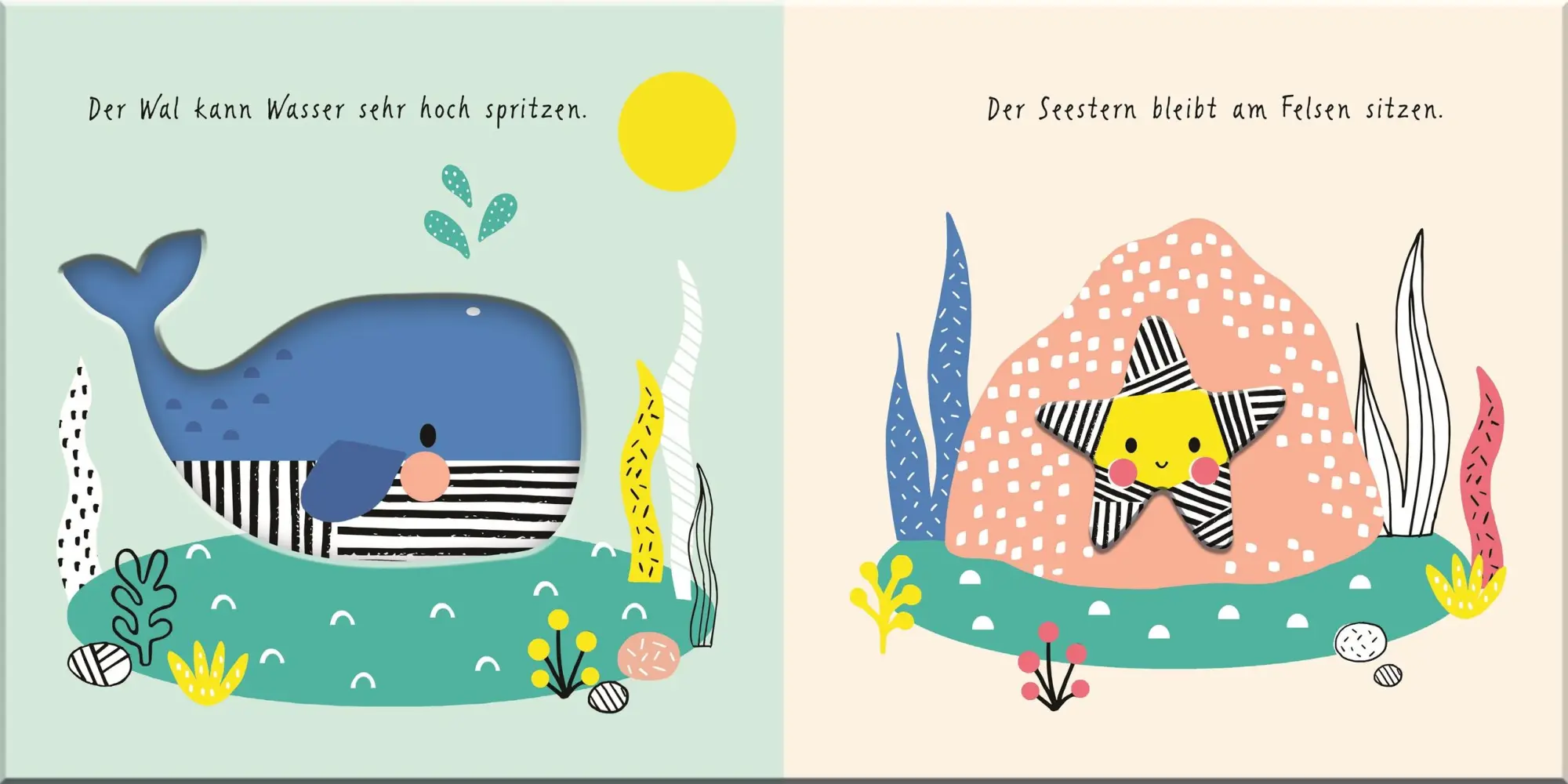 Bild: 9783831048311 | Meine ersten Tiere. Tiere im Meer | Franziska Jaekel | Buch | 12 S.