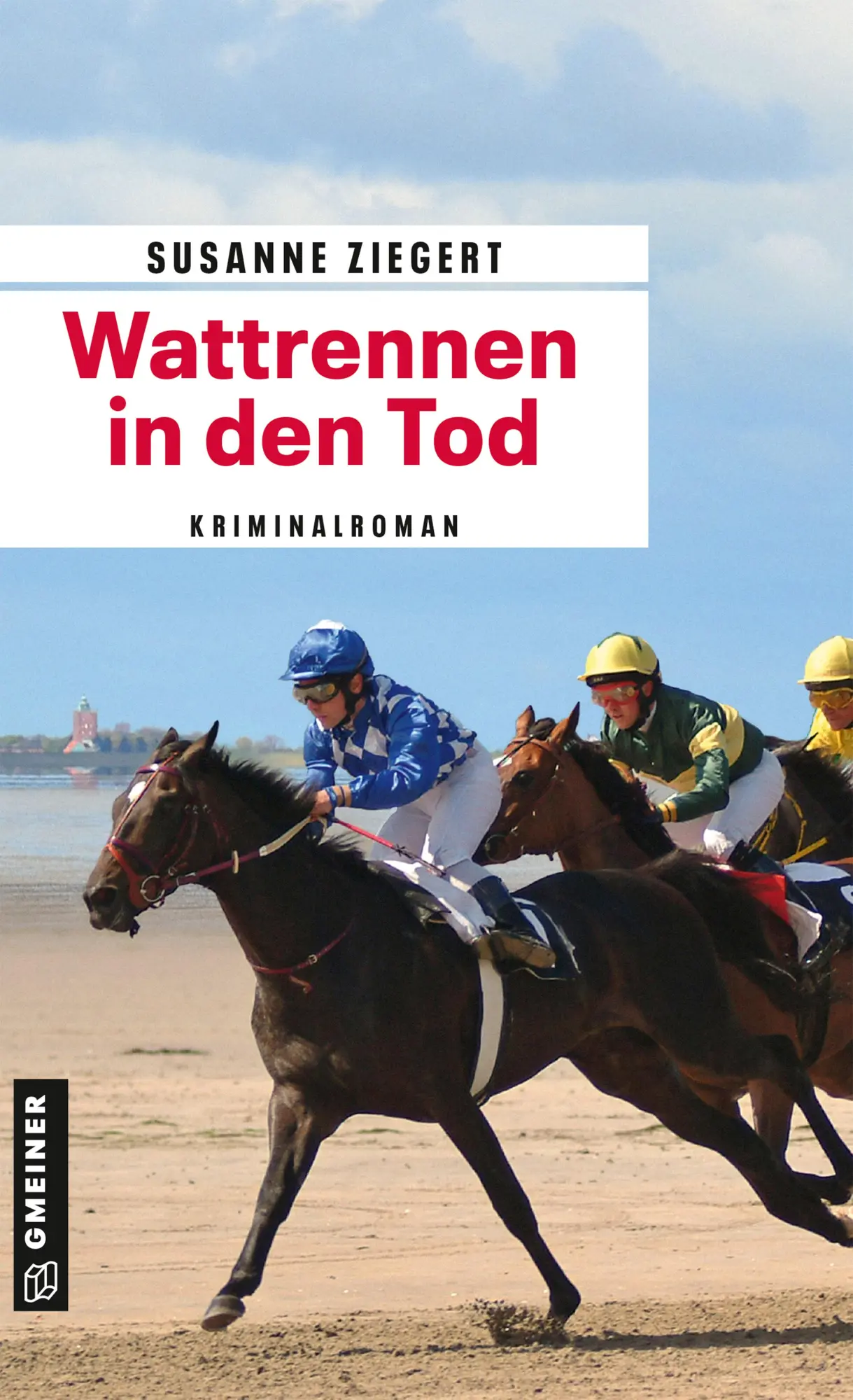 Cover: 9783839208311 | Wattrennen in den Tod | Kriminalroman | Susanne Ziegert | Taschenbuch