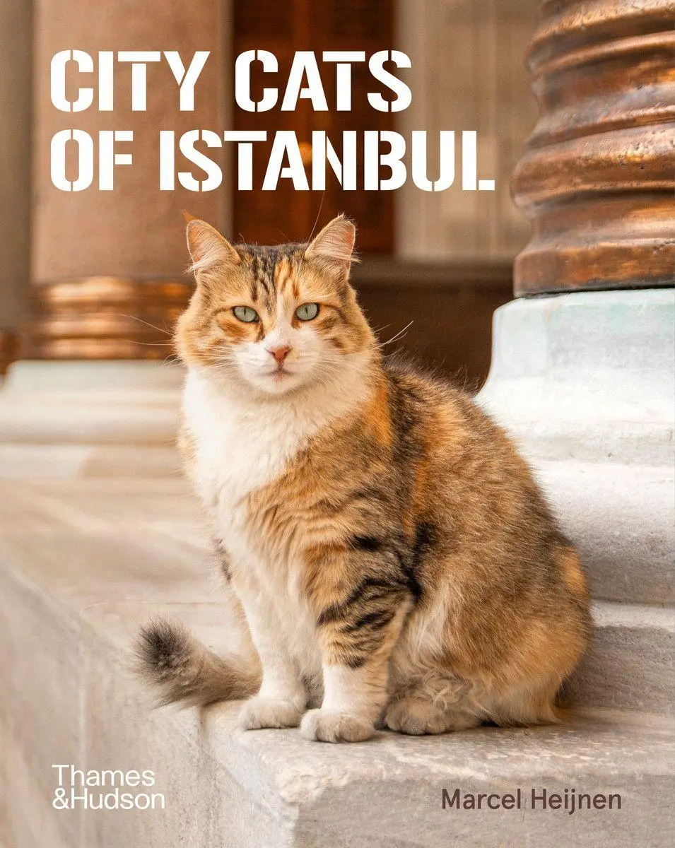 Cover: 9780500298411 | City Cats of Istanbul | Marcel Heijnen | Taschenbuch | Englisch | 2025